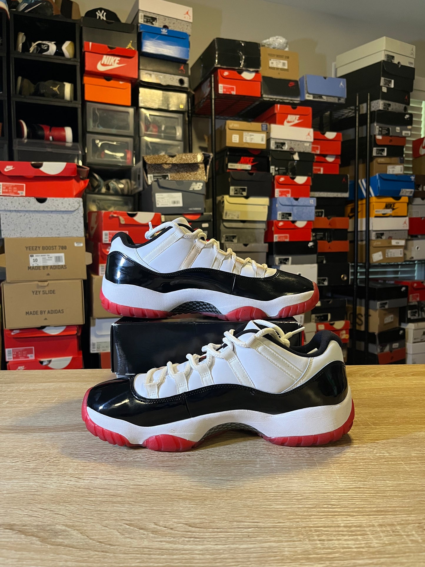 Size 11.5 - AJ 11 Concord Bred