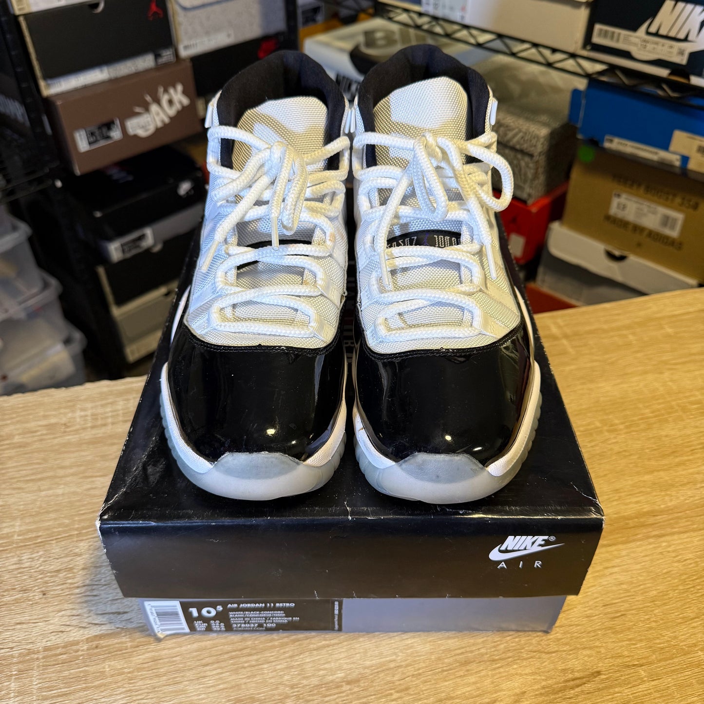 Size 10.5 - AJ 11 Concord