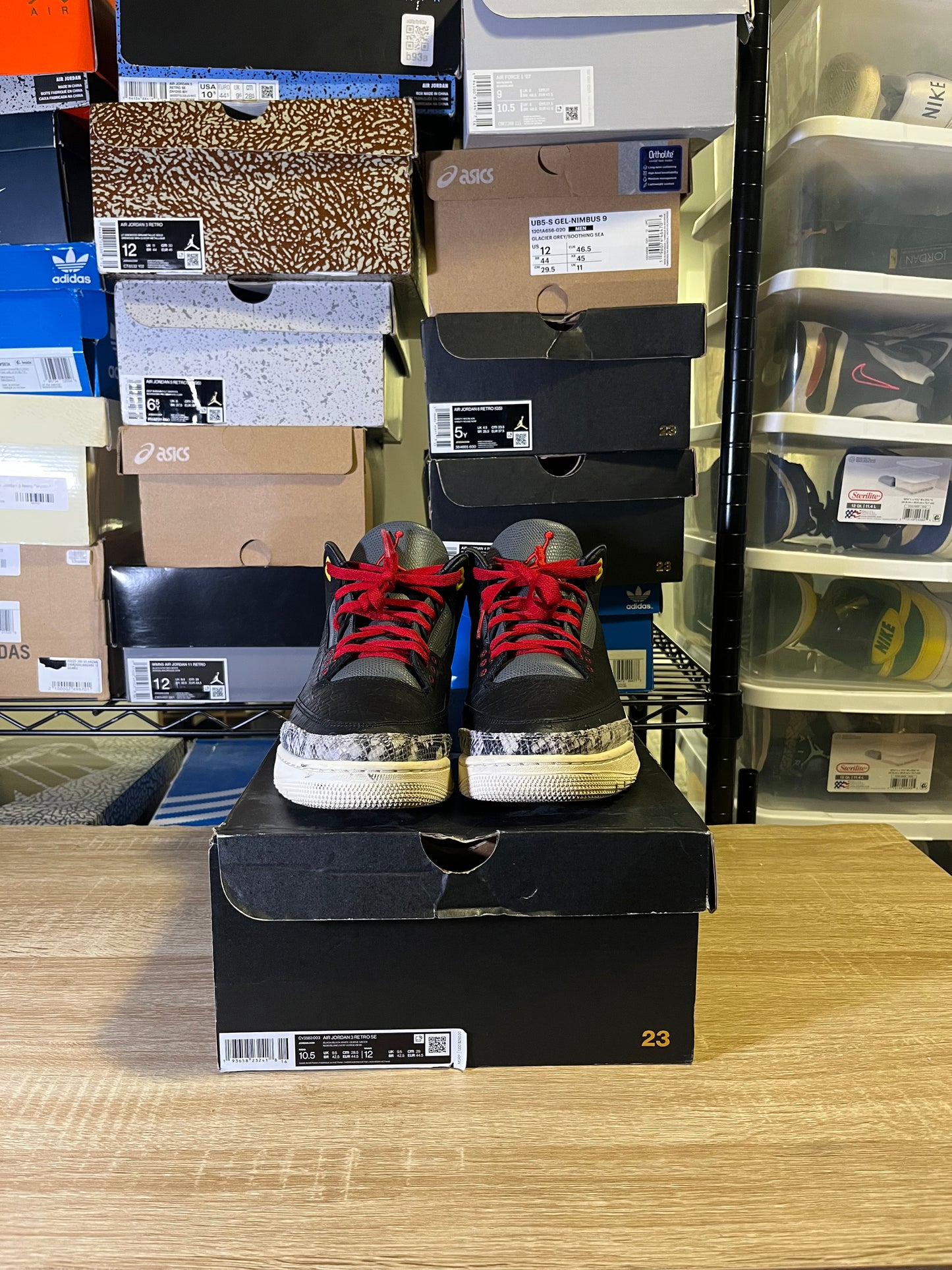 Size 10.5 - AJ 3 Retro SE Animal Instinct 2.0