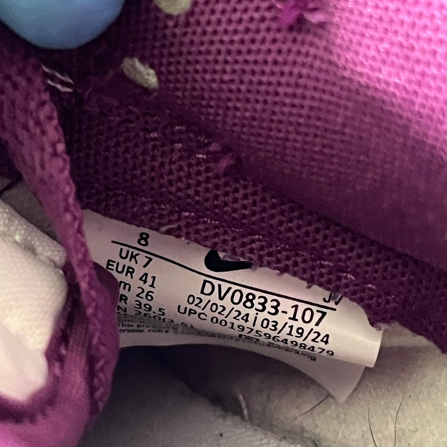 Size 8 - Dunk Low Viotech