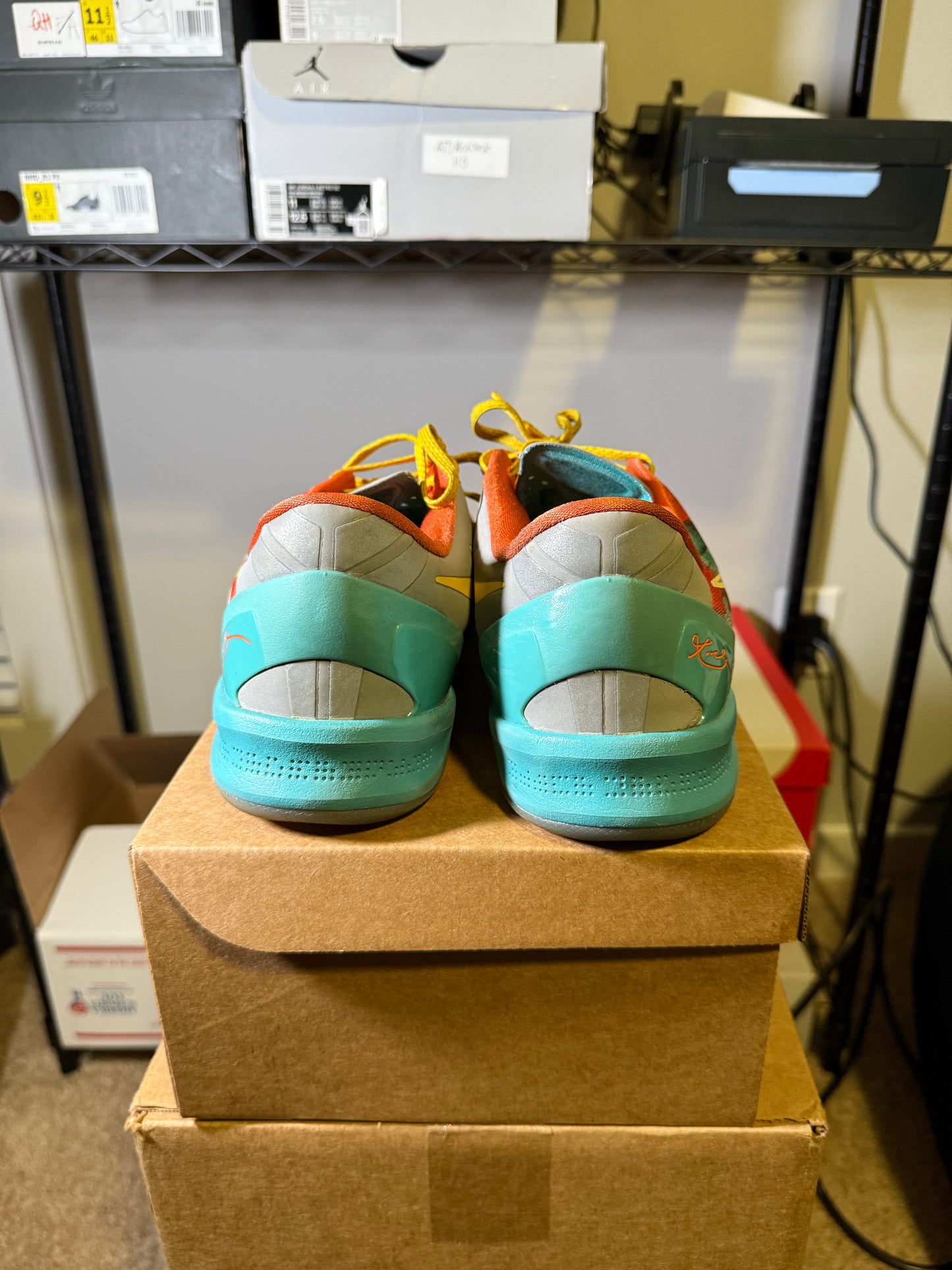 Size 11 - Kobe 8 Protro Venice Beach