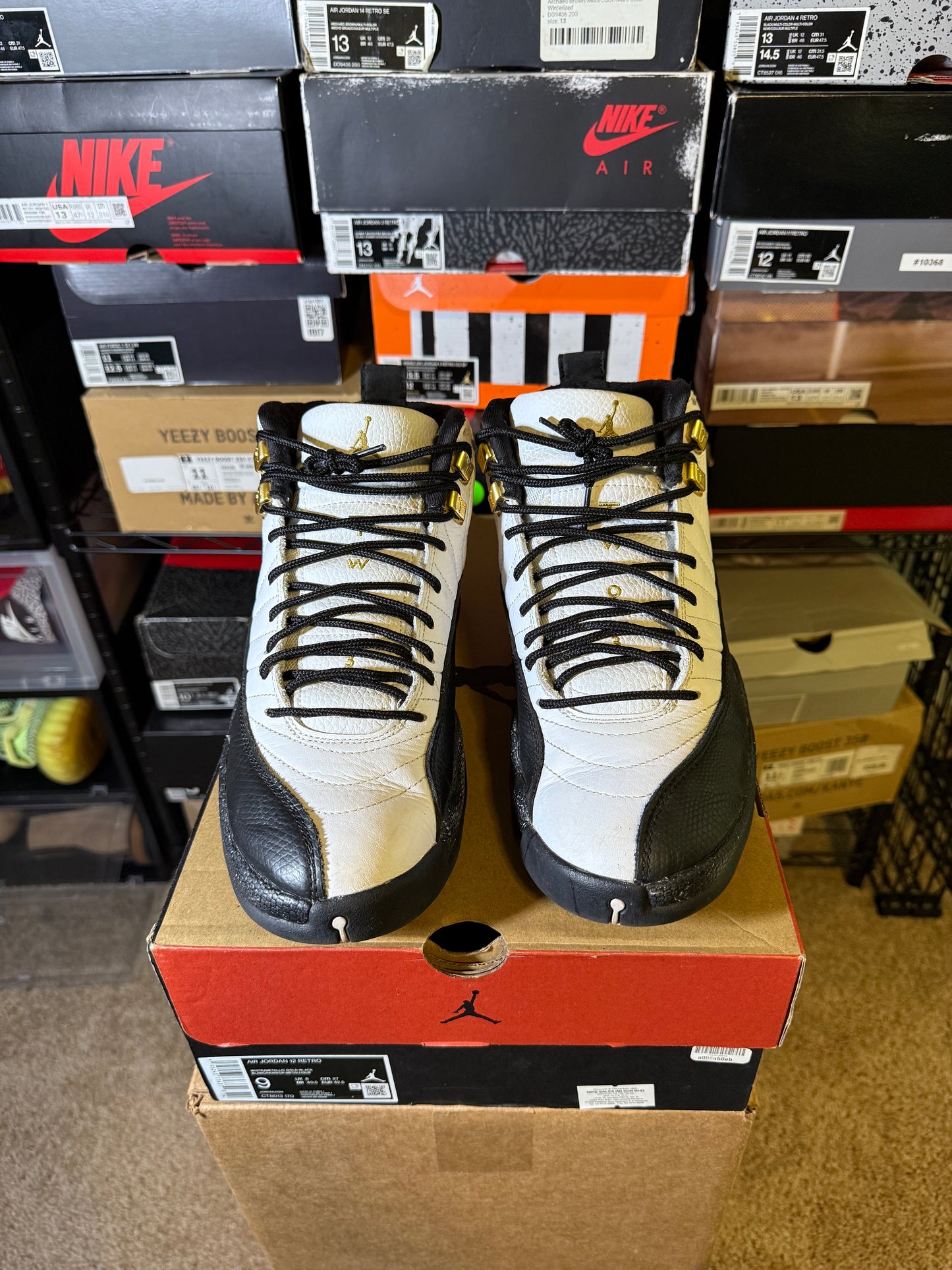 Size 9 - AJ 12 Royalty