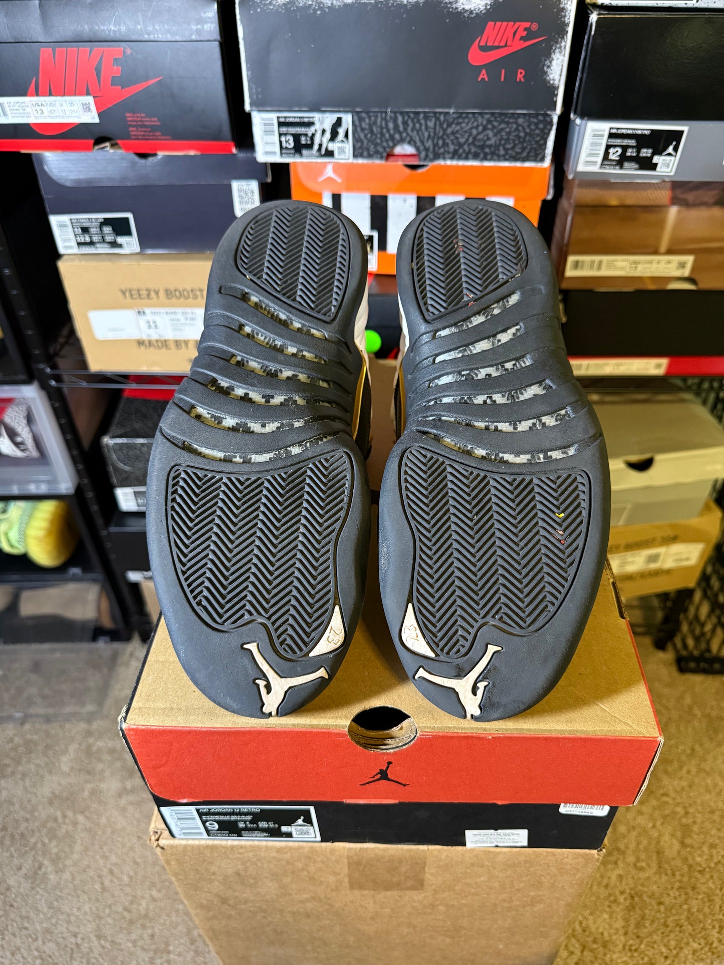 Size 9 - AJ 12 Royalty