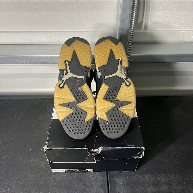 Size 8.5 - AJ 6 Retro Chrome