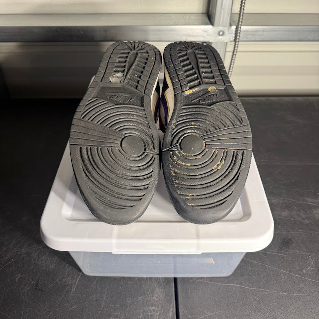 Size 9.5 - AJ 1 Low Rivals