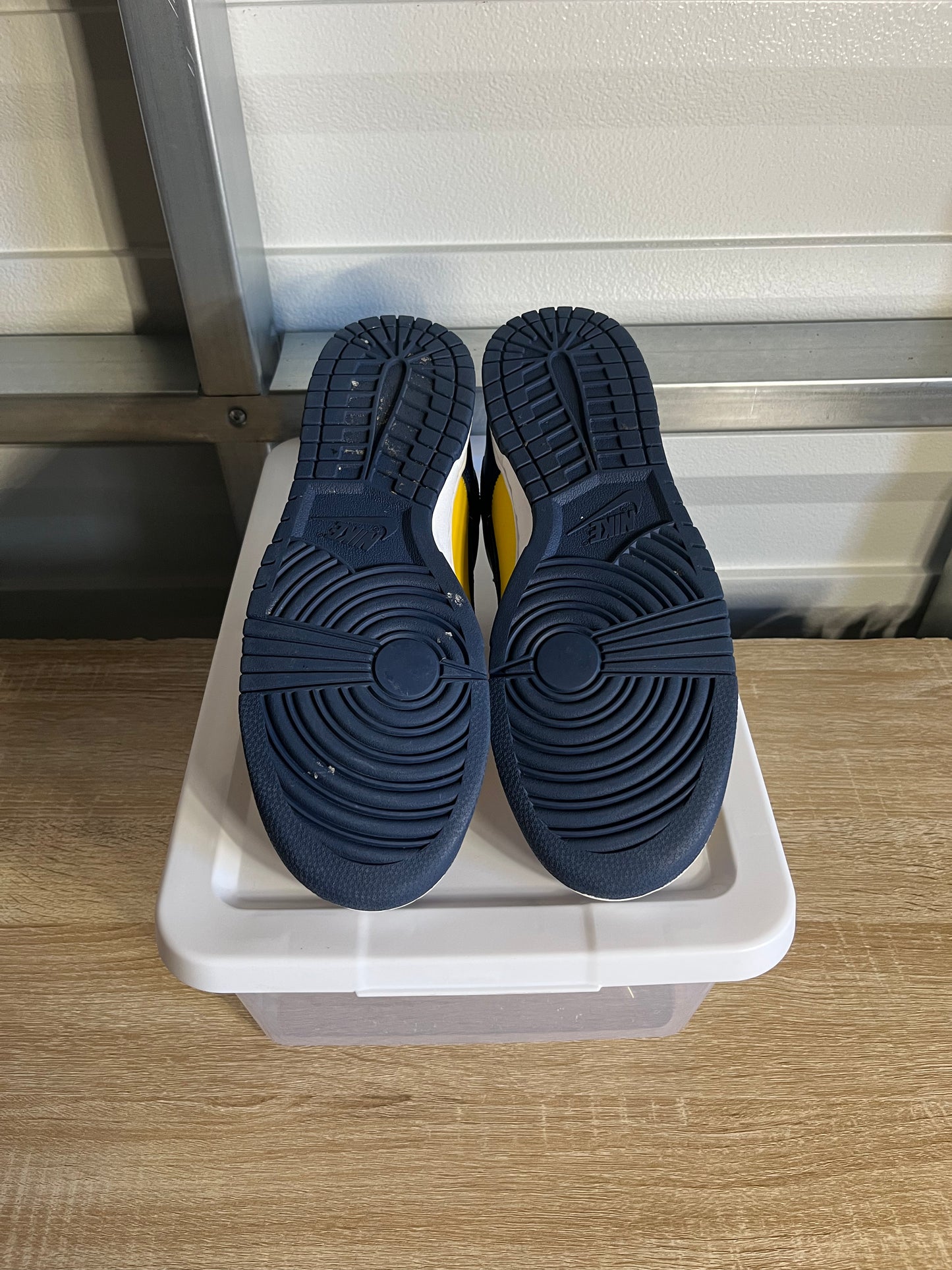 Size 11 - Dunk Low Michigan