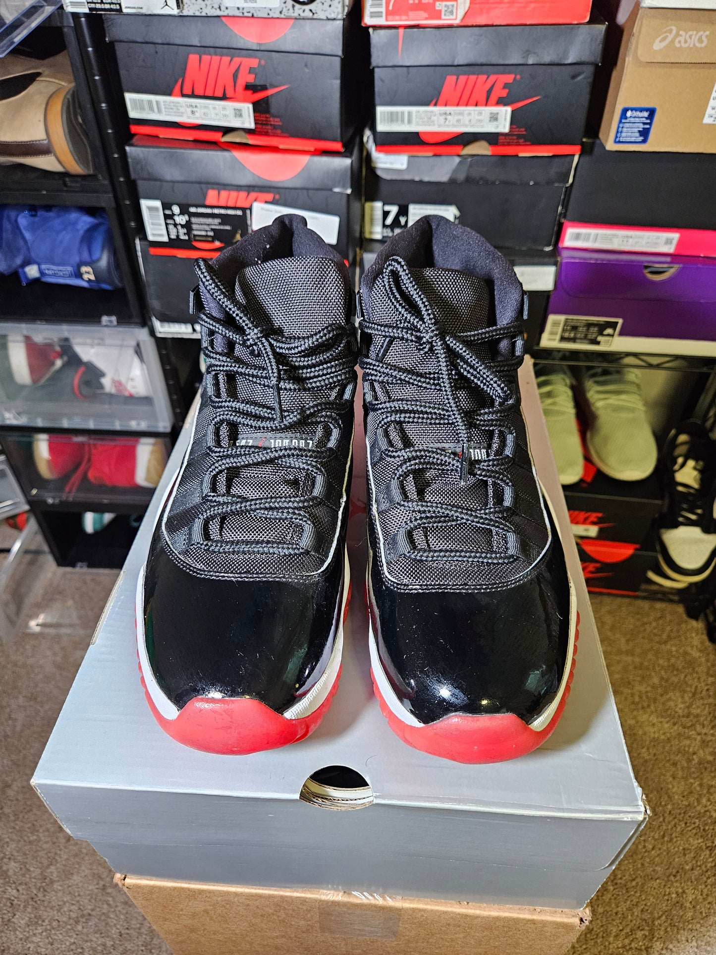 Size 11 - AJ 11 Retro High Bred
