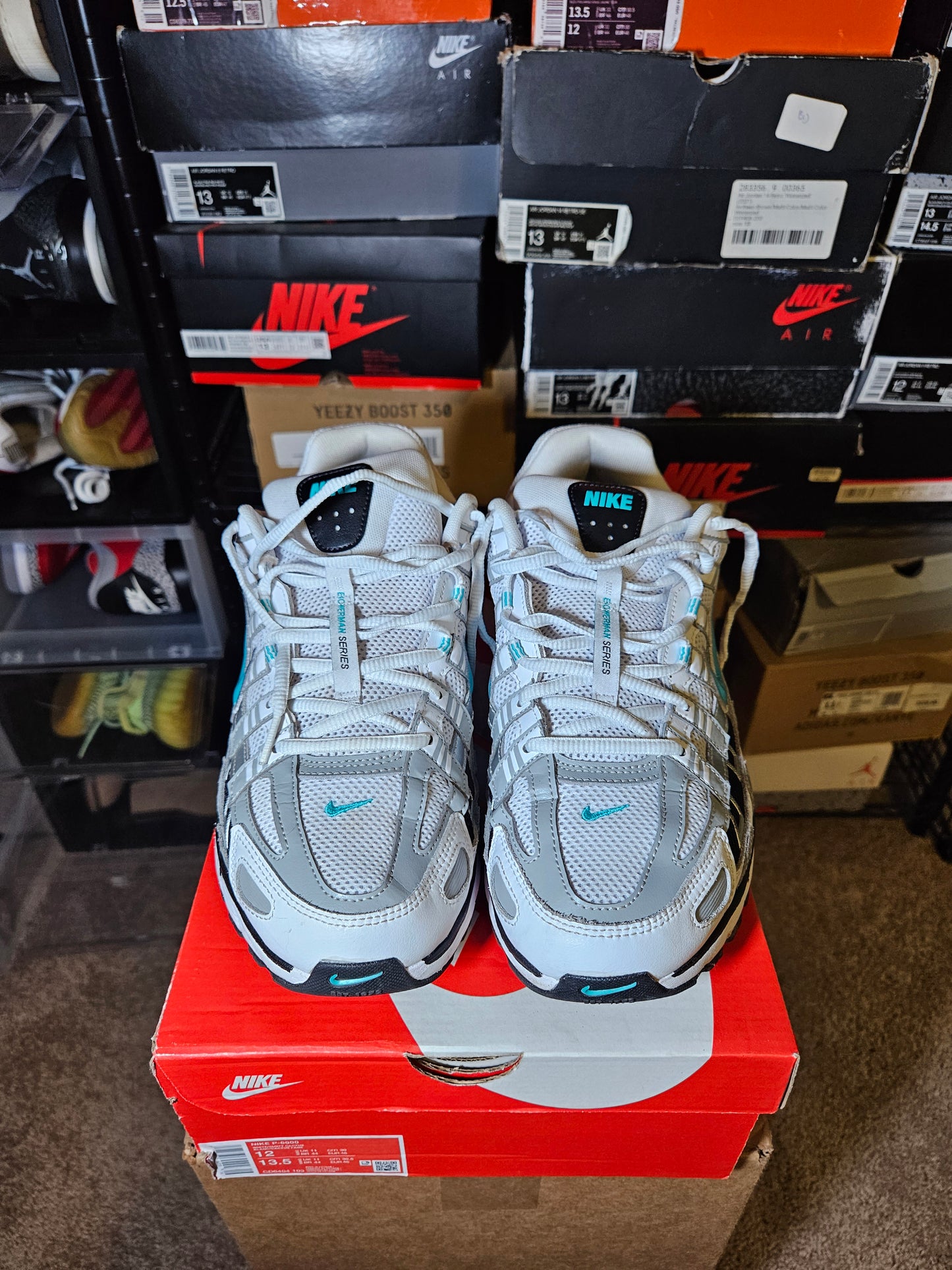 Size 12 - P-6000 Dusty Cactus