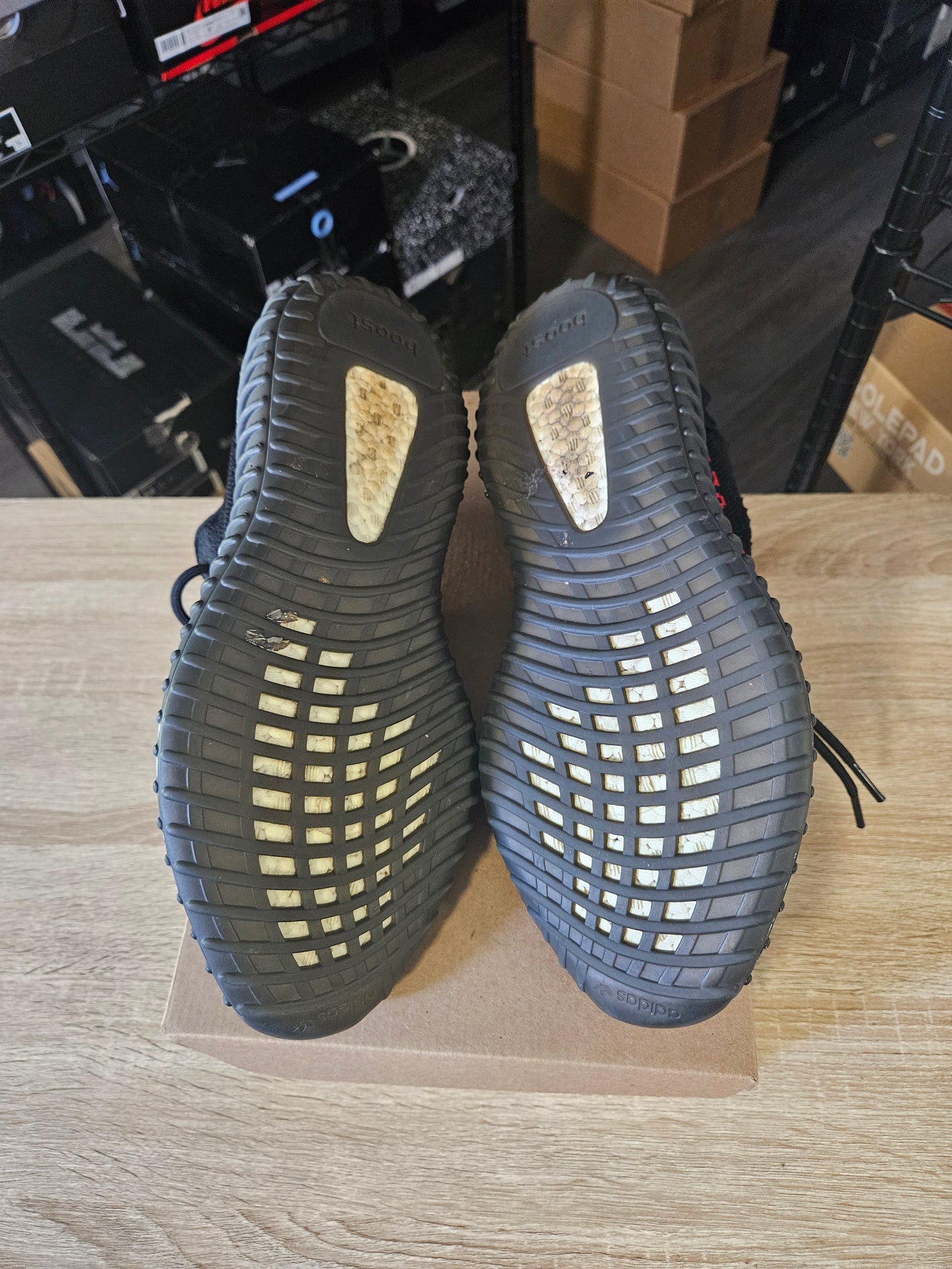 Size 11 - YZY 350 V2 Low Bred