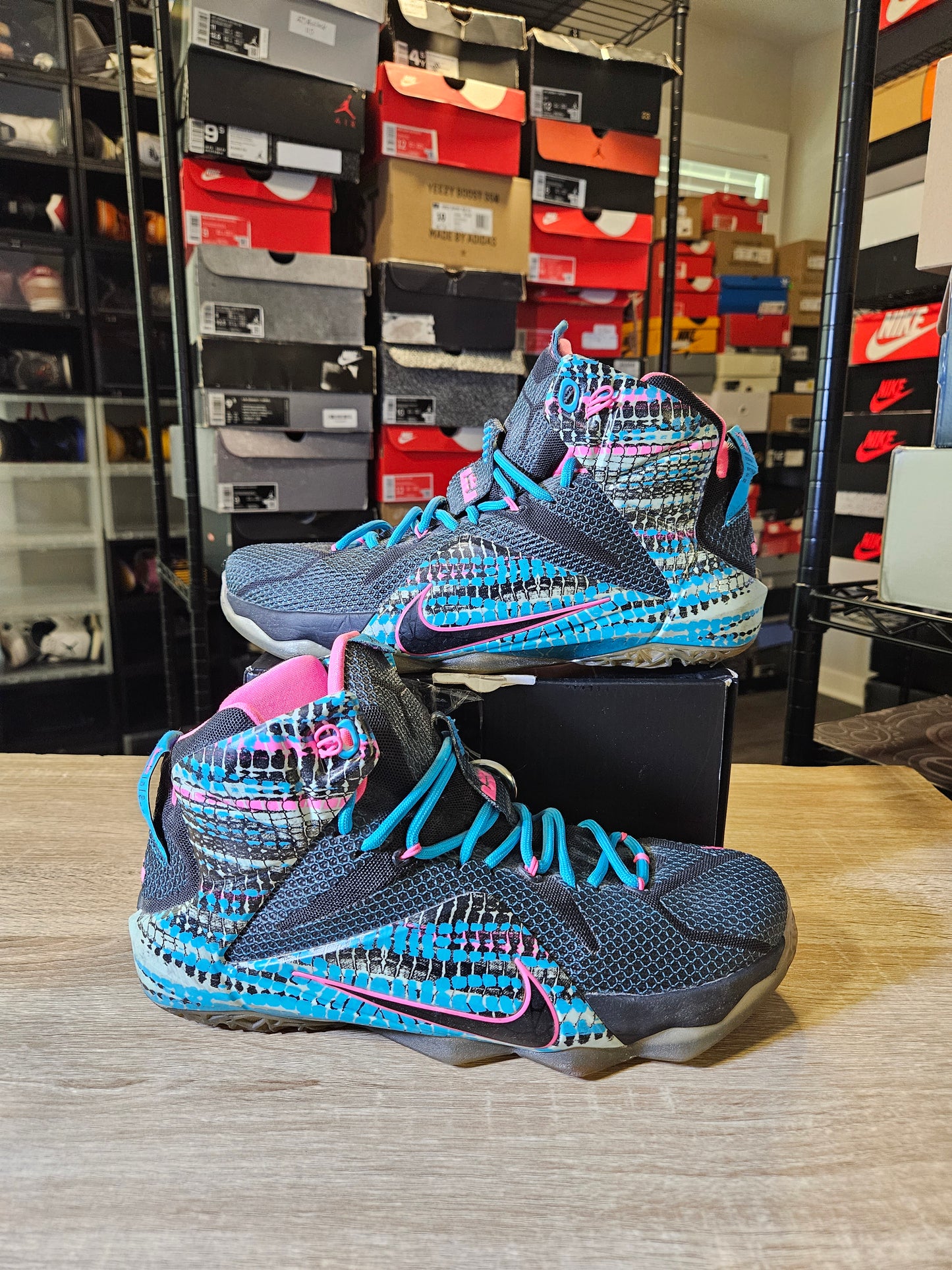 Size 9.5 - LeBron 12 23 Chromosomes