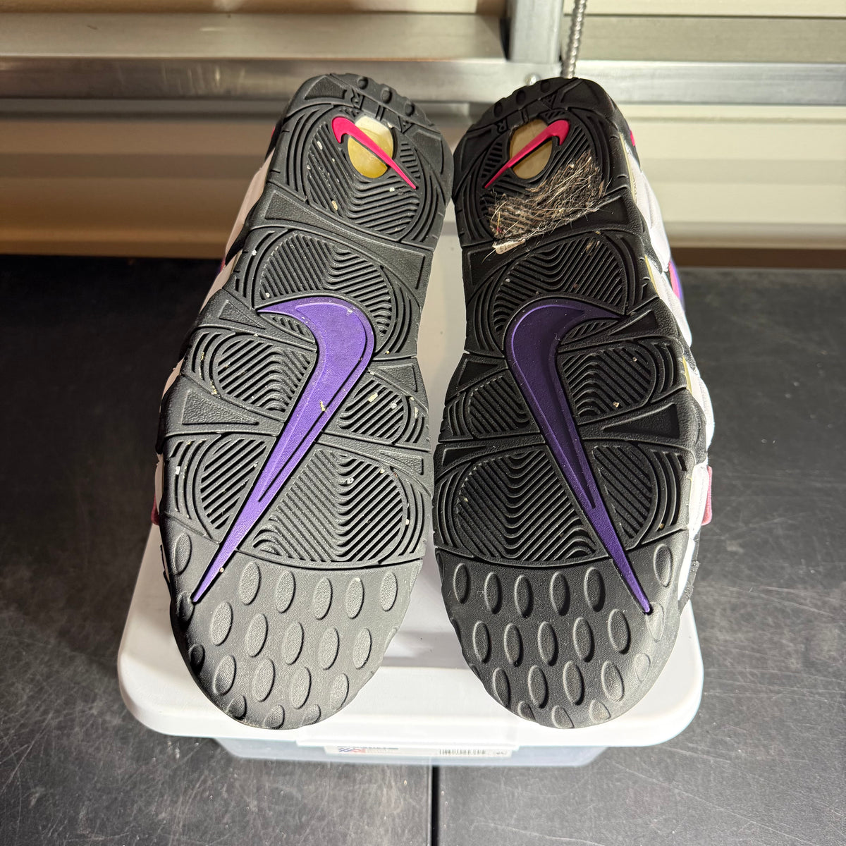 Size 12 - Air More Uptempo '96 Court Purple nb