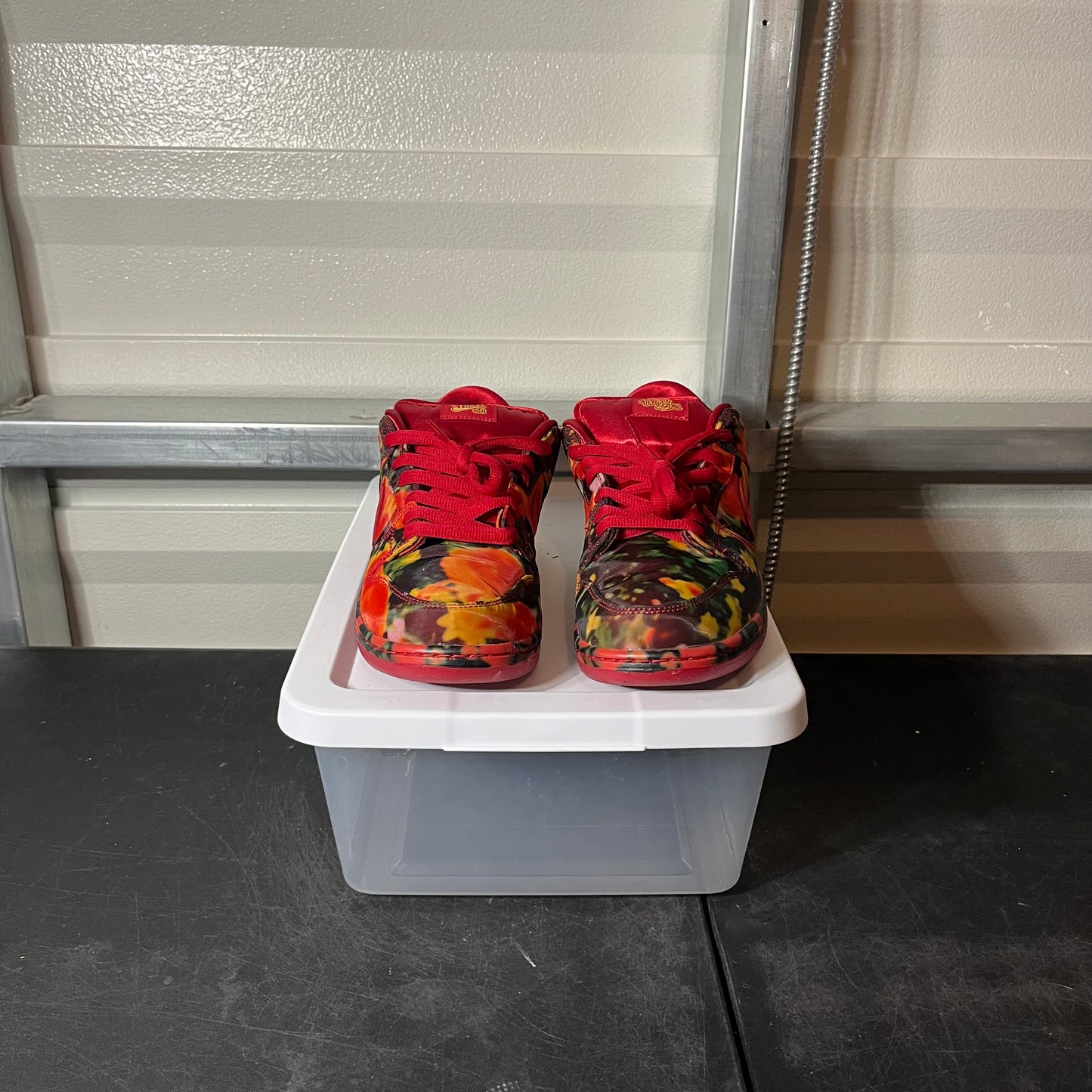 Size 10.5 - Dunk Wizard of Oz Poppy Field