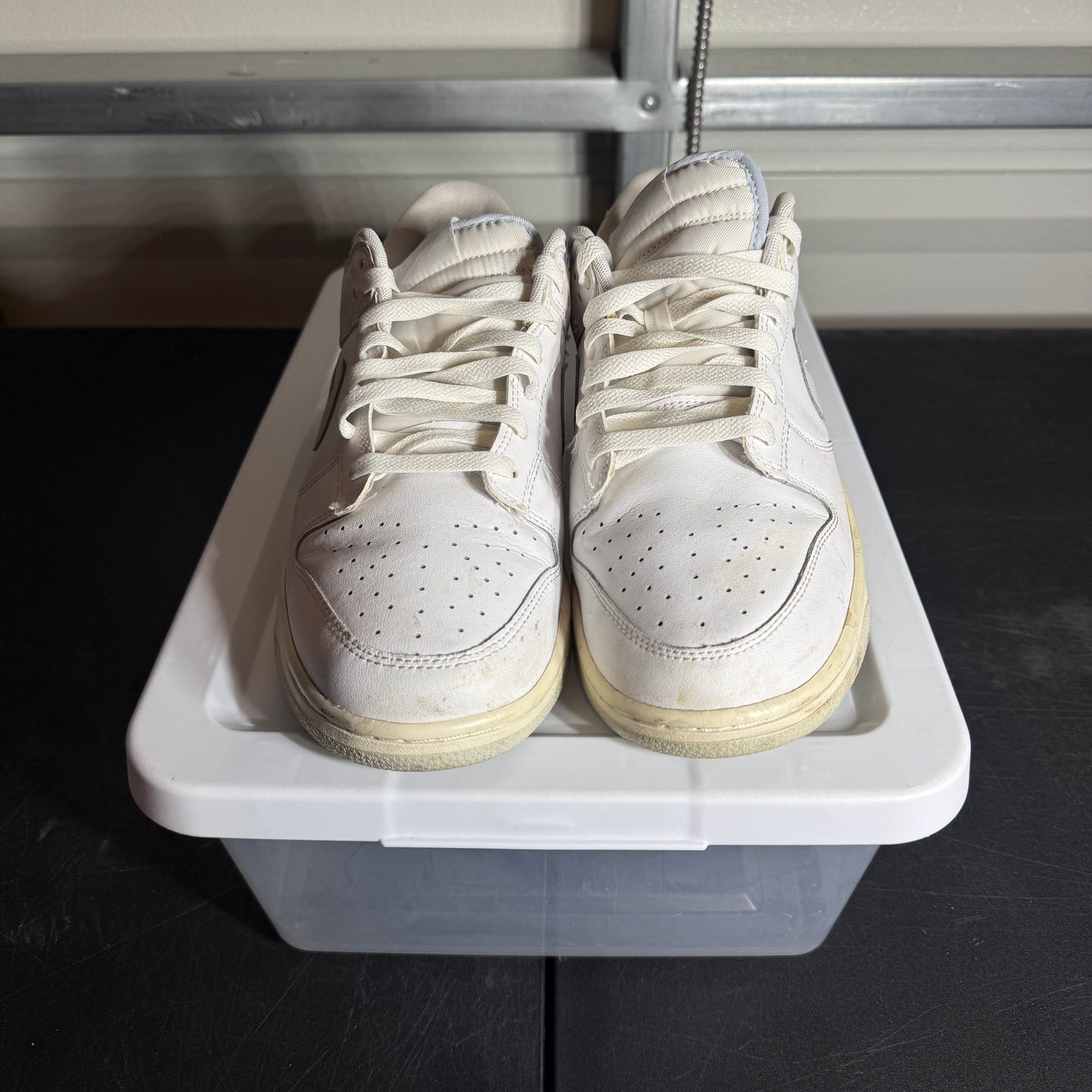 Size 10.5 - Dunk Pure Platinum