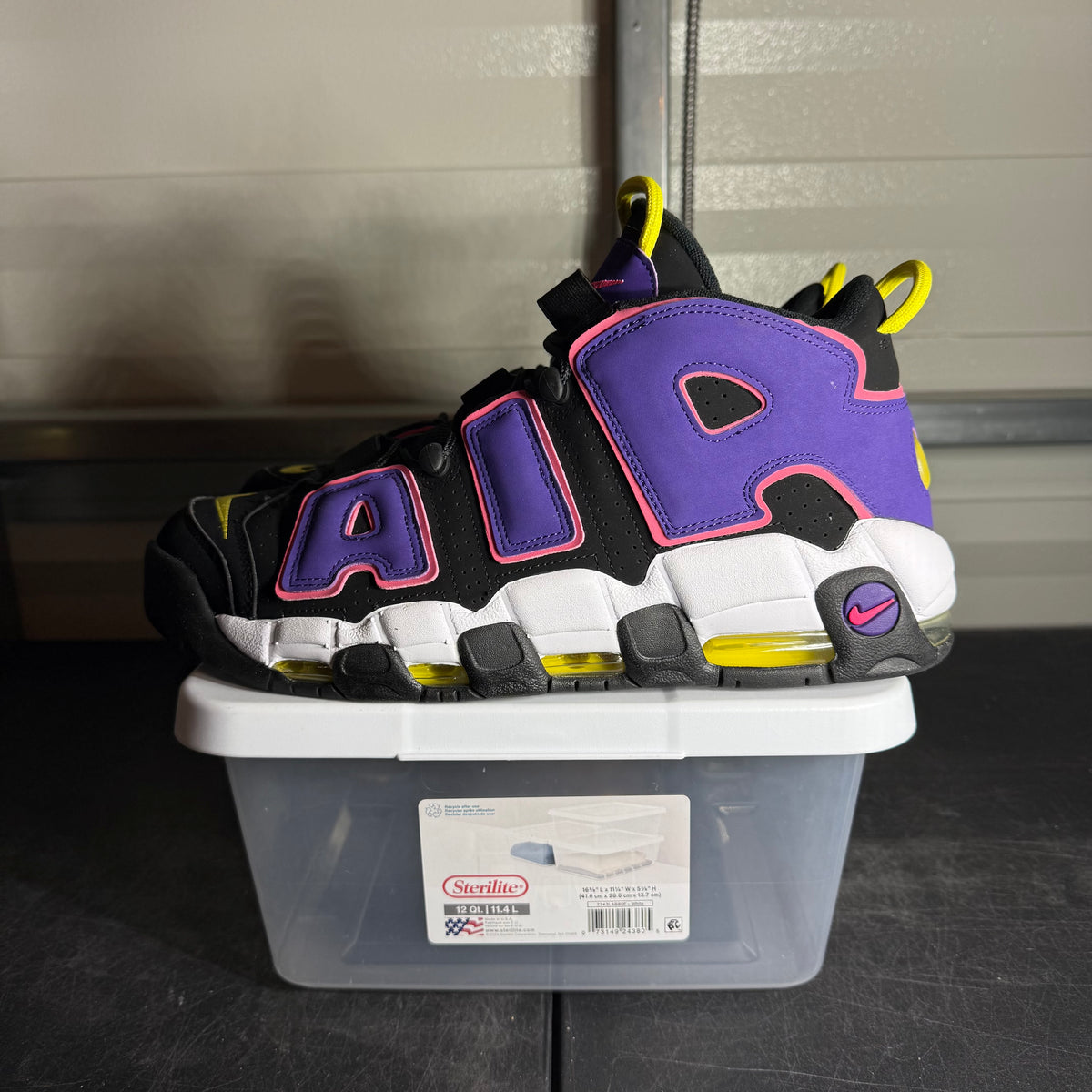 Size 12 - Air More Uptempo '96 Court Purple nb
