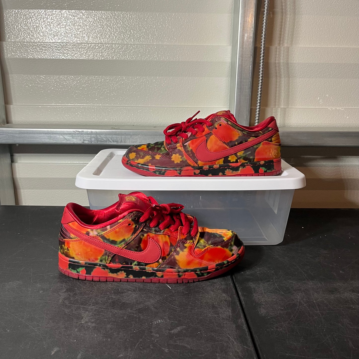 Size 10.5 - Dunk Wizard of Oz Poppy Field