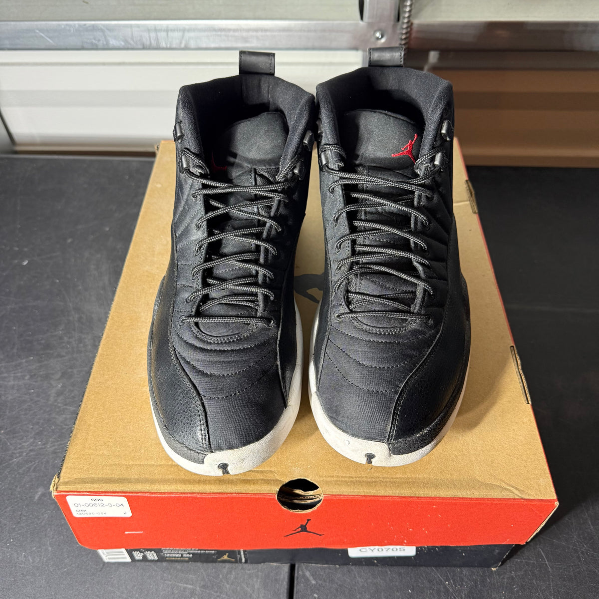 Size 11.5 - AJ 12 Nylon