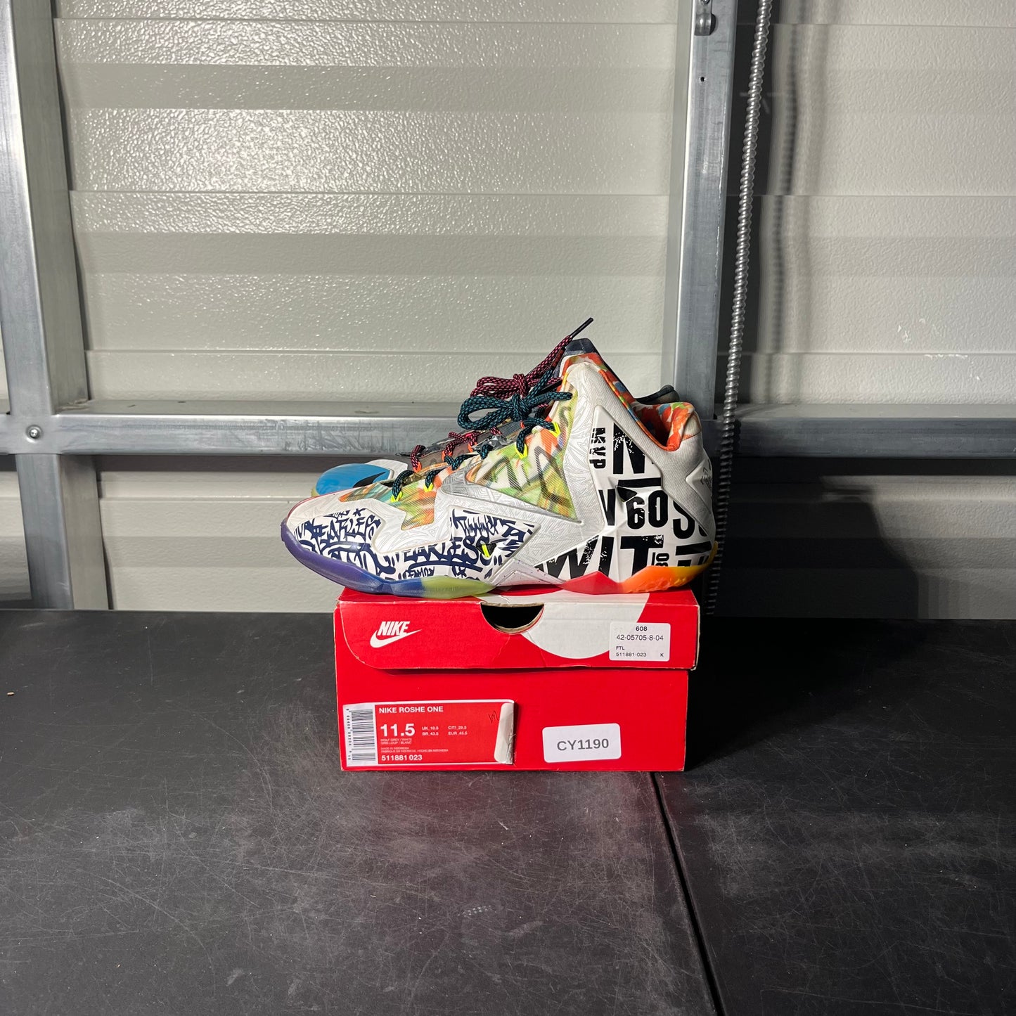 Size 10 - Nike LeBron What The