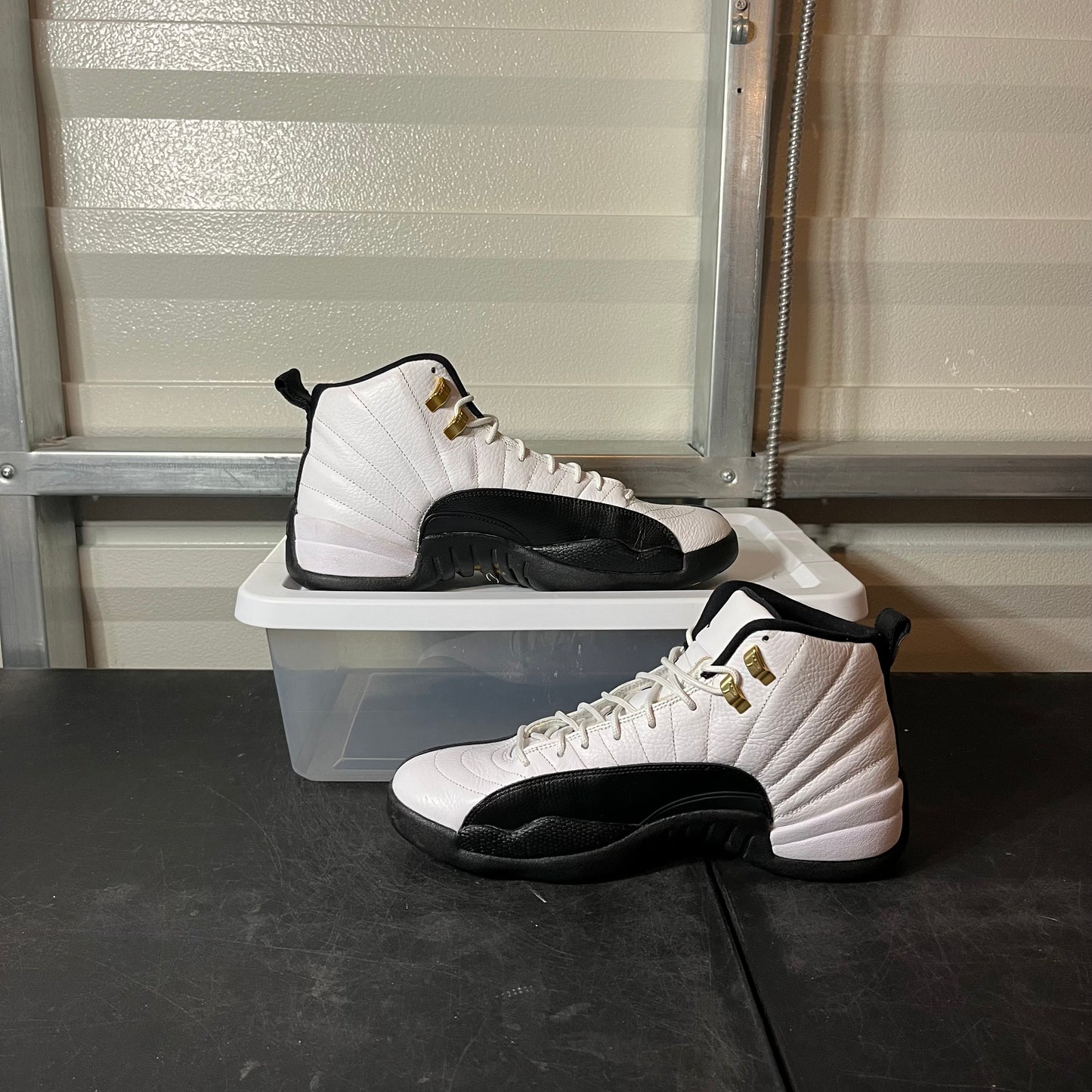 Size 10.5 - AJ 12 Taxi (2013 Release)