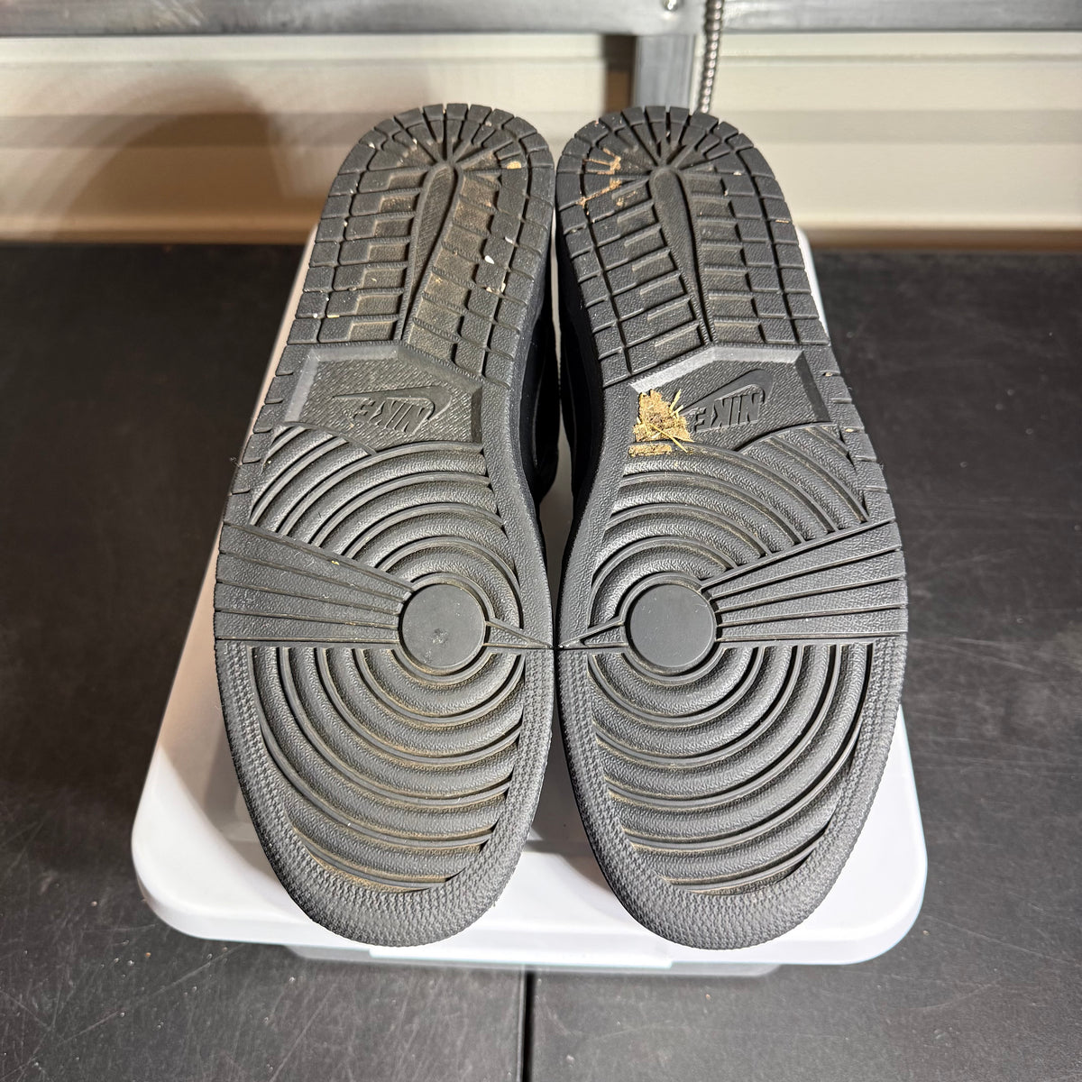 Size 12 - AJ 1 Low Back
