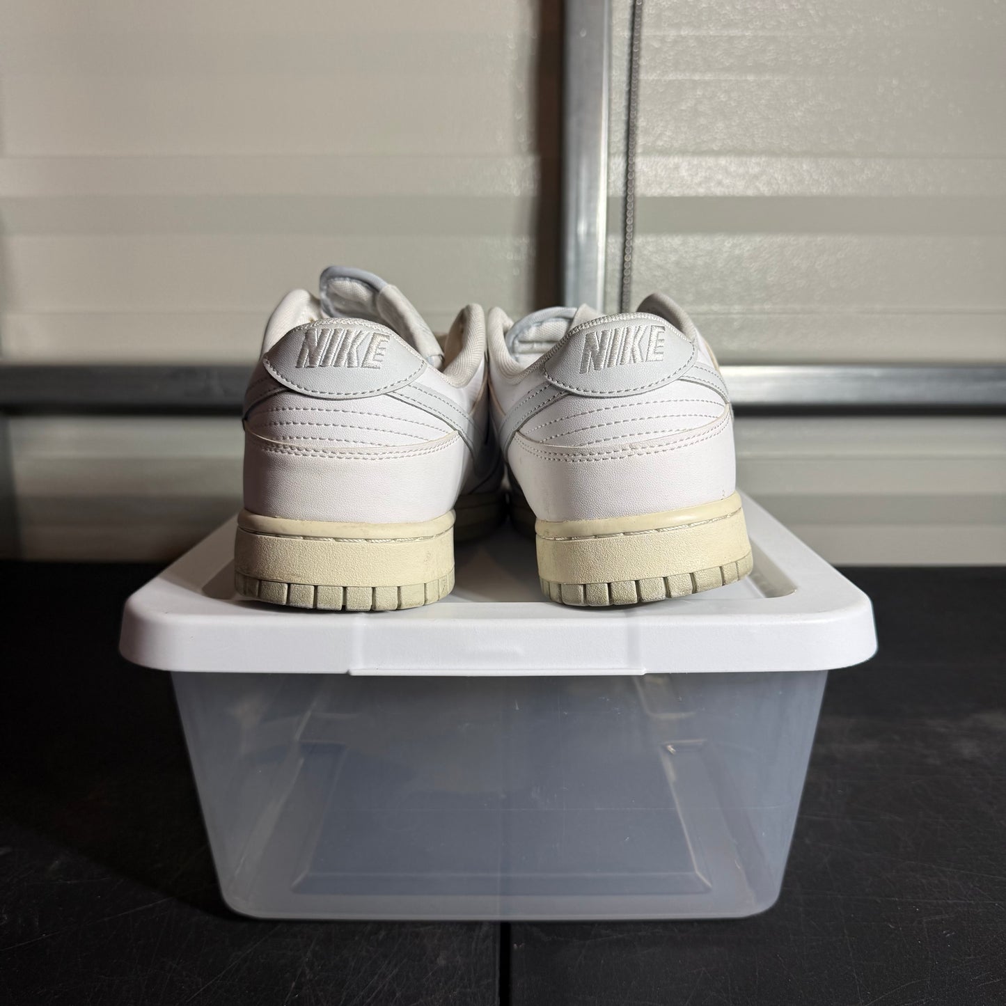 Size 10.5 - Dunk Pure Platinum