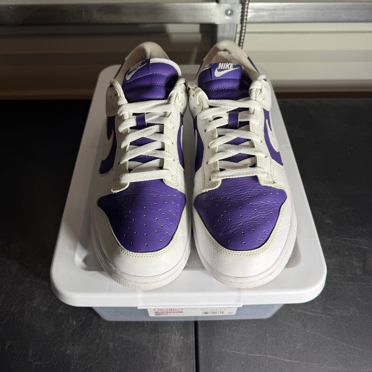 Size 12 - Dunk Purple By You