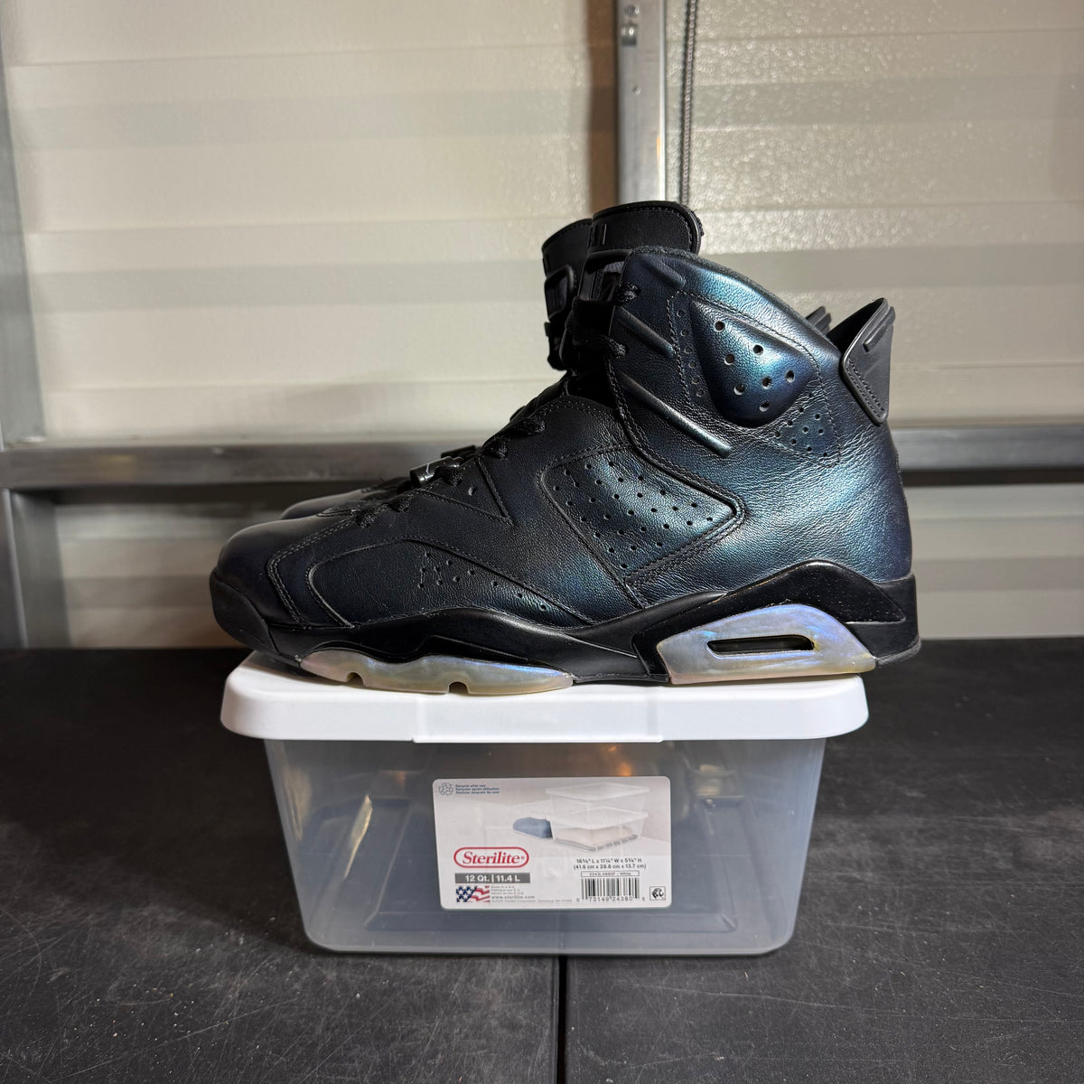 Size 12 - AJ 6 All Star Chameleon