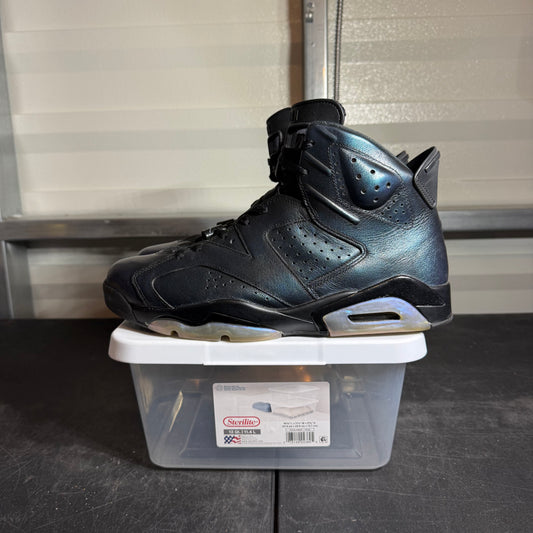 Size 12 - AJ 6 All Star Chameleon