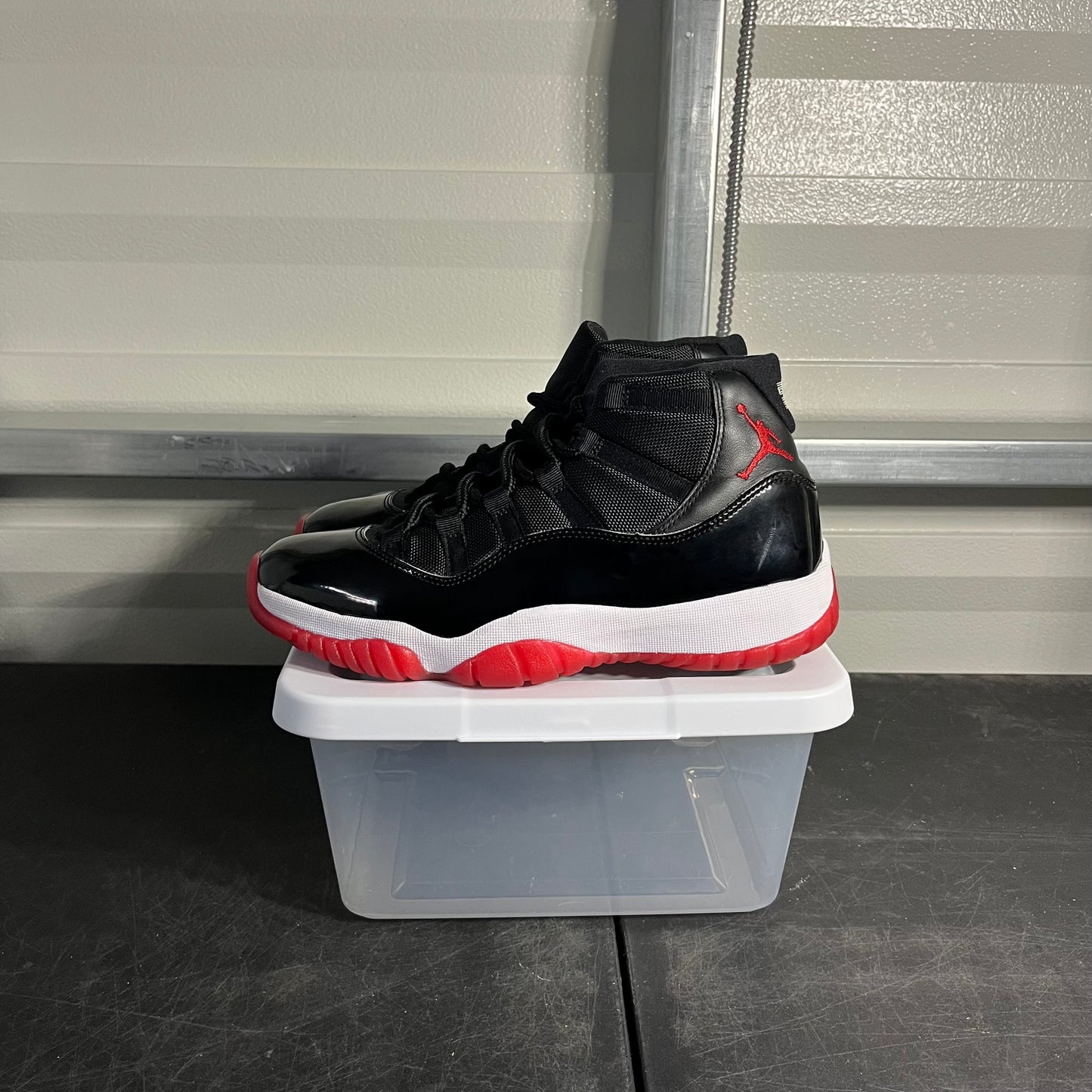 Size 9 - AJ 11 Bred