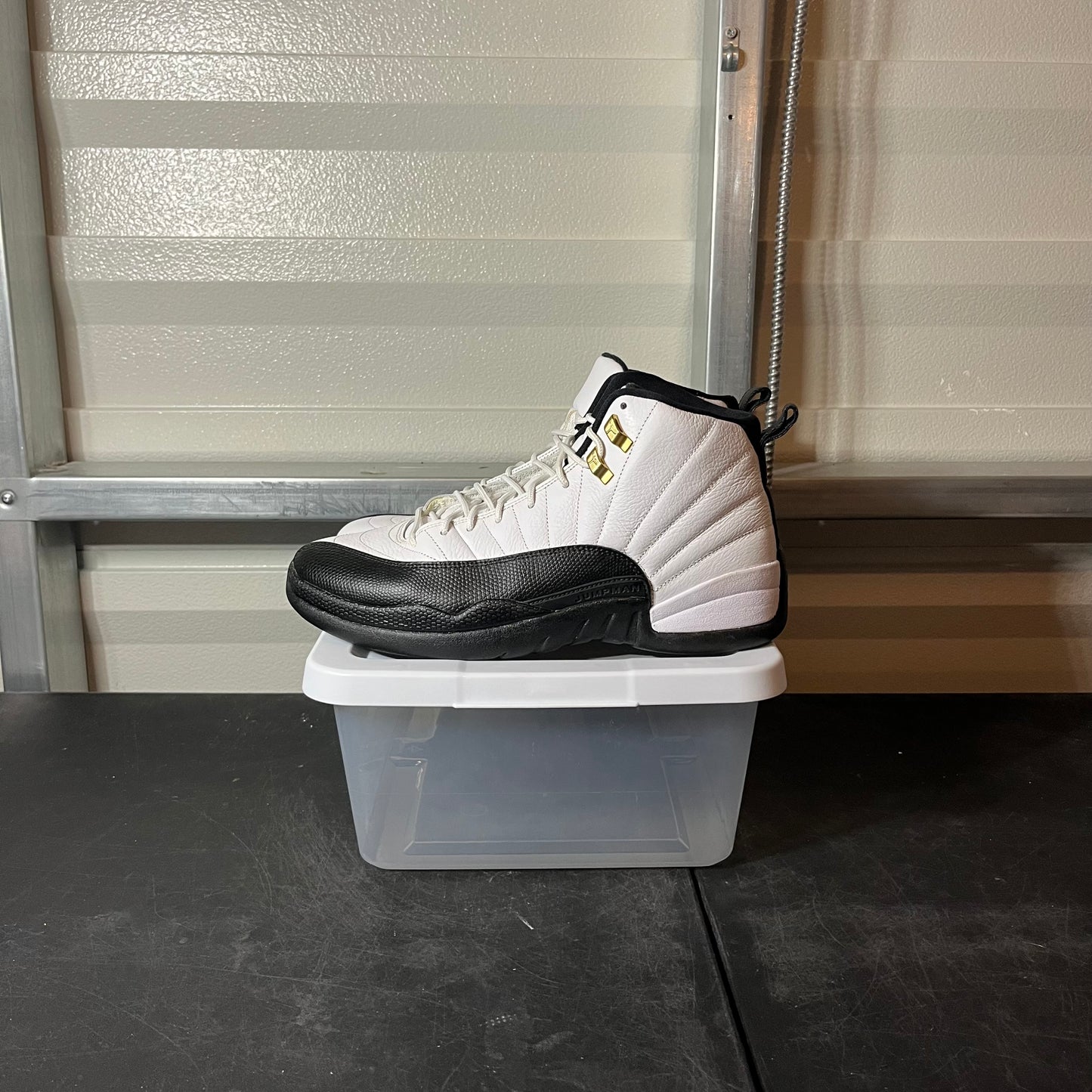 Size 10.5 - AJ 12 Taxi (2013 Release)