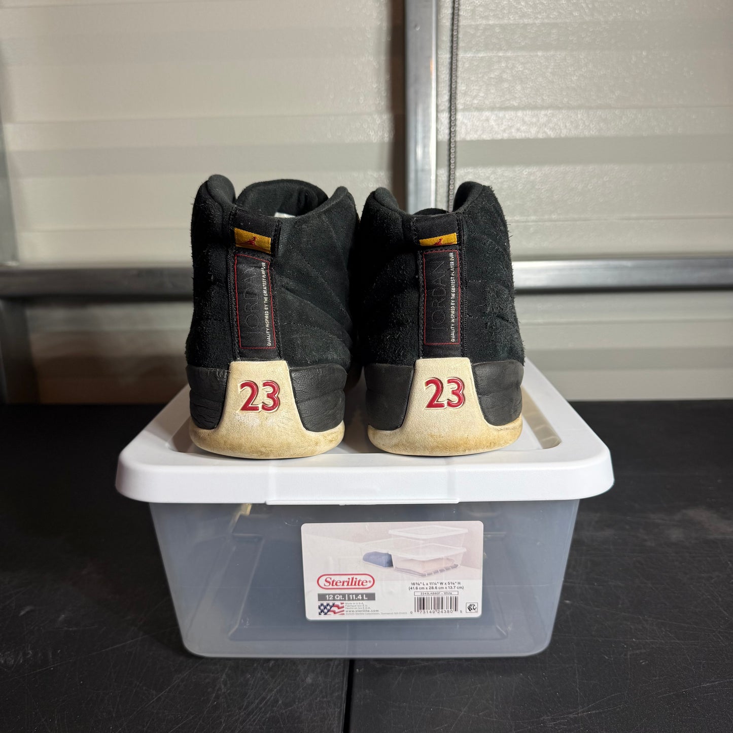 Size 11.5 - AJ 12 Retro Reverse Taxi