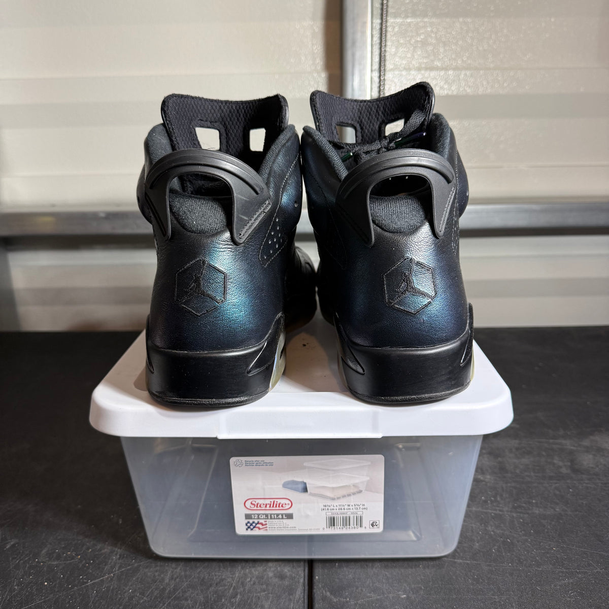 Size 12 - AJ 6 All Star Chameleon