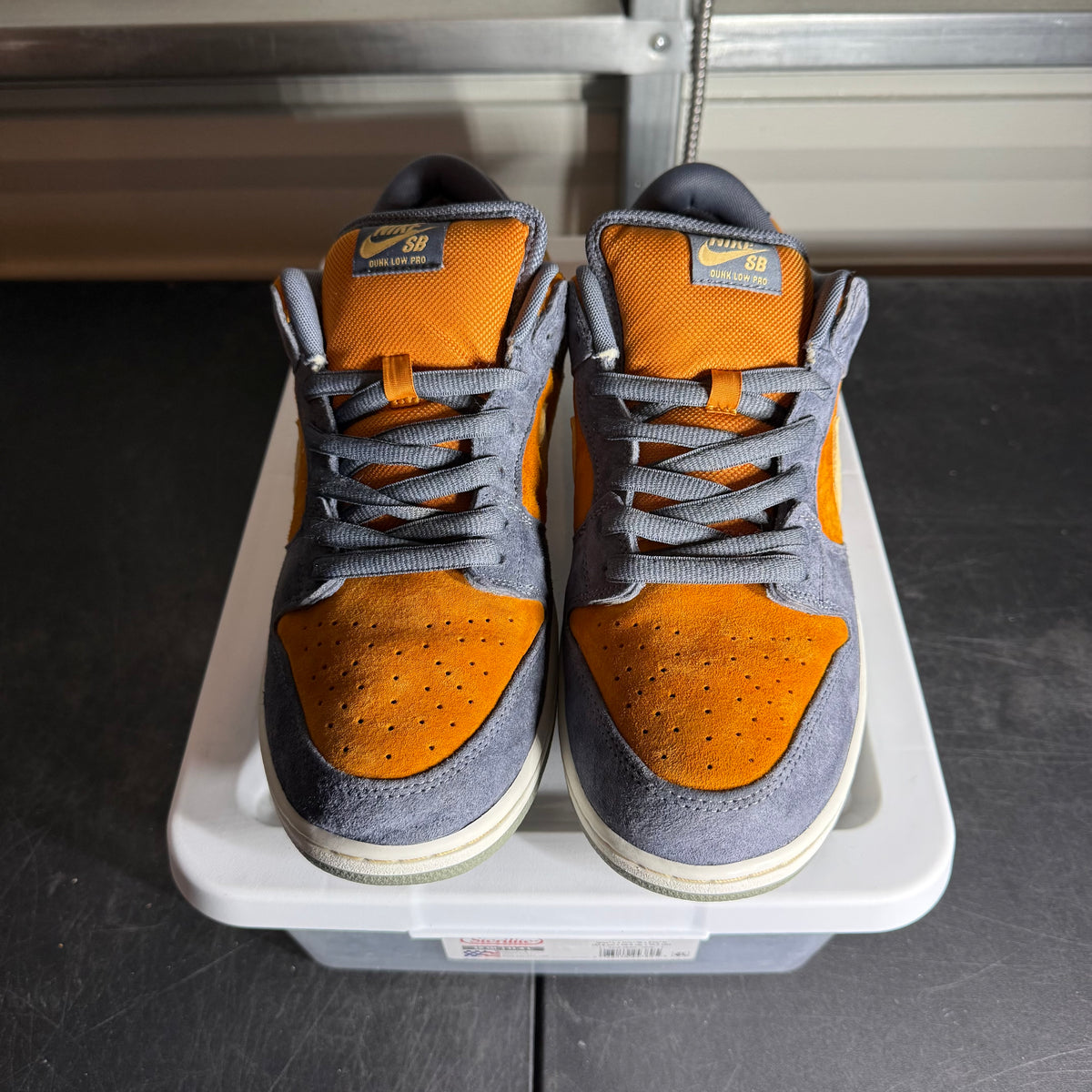Size 13 - Dunk SB Low Light Carbon Monarch