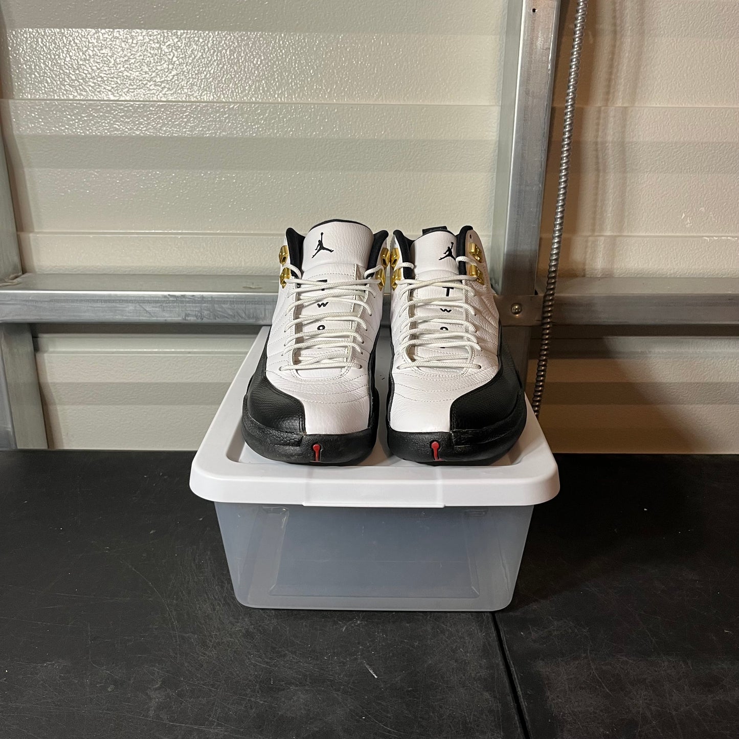 Size 10.5 - AJ 12 Taxi (2013 Release)