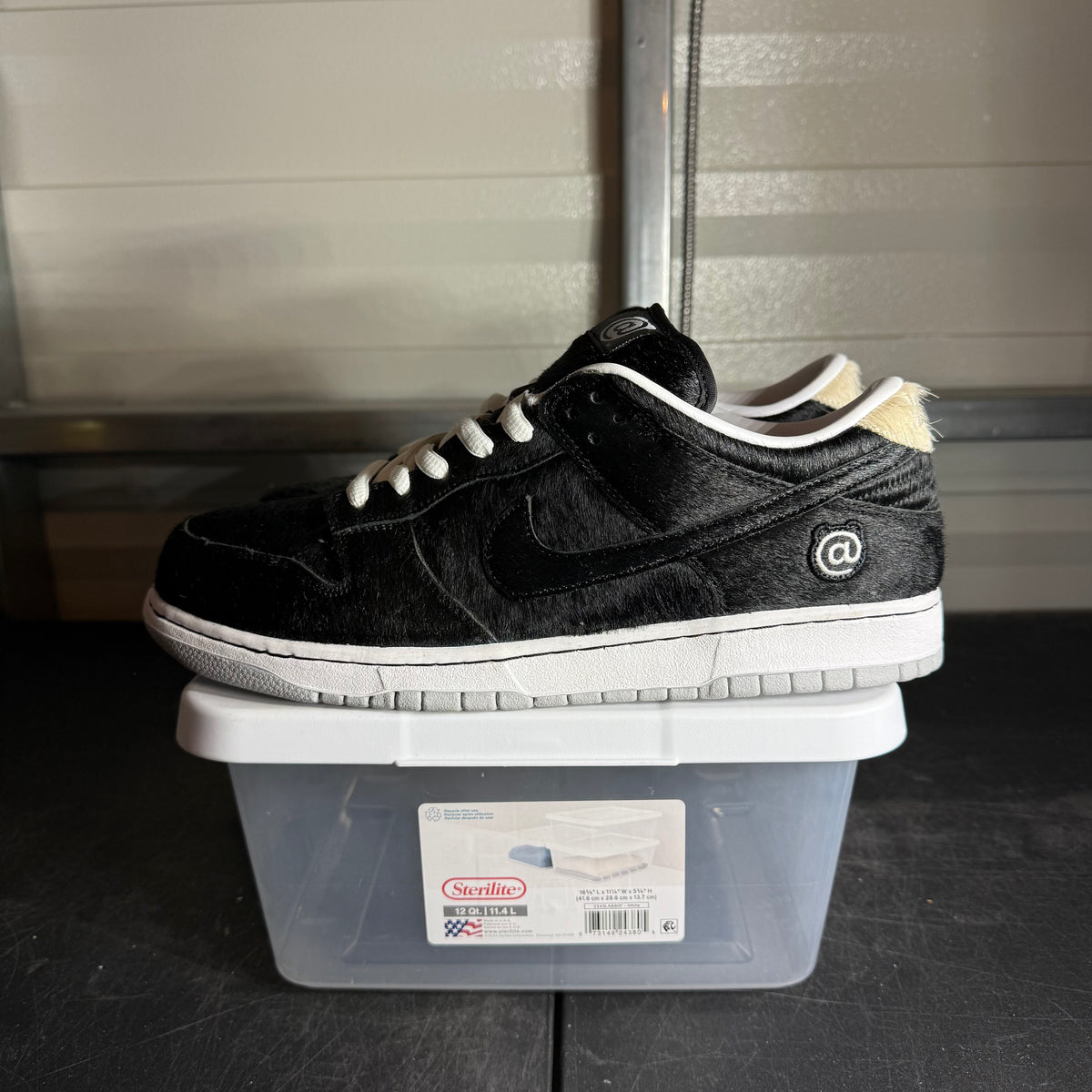 Size 12 - Dunk Low Medicom Toy