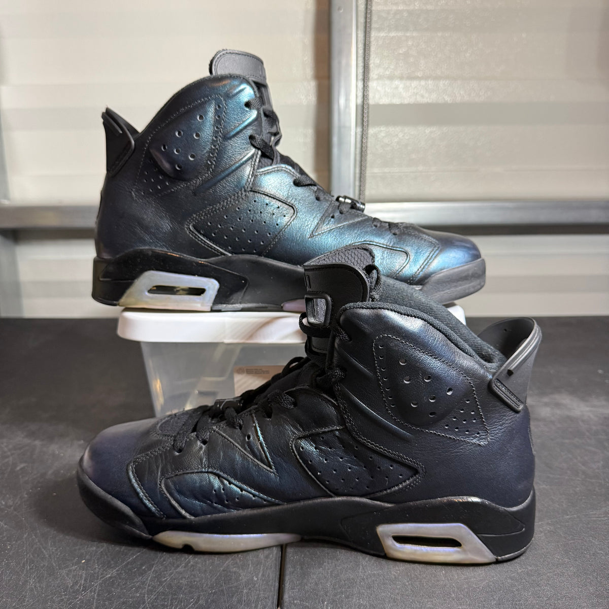 Size 12 - AJ 6 All Star Chameleon