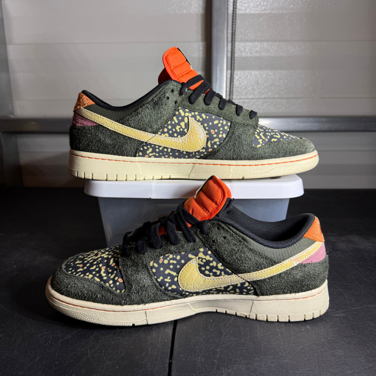 Size 12 - Nike Dunk SE Low Gone Fishing Rainbow Trout