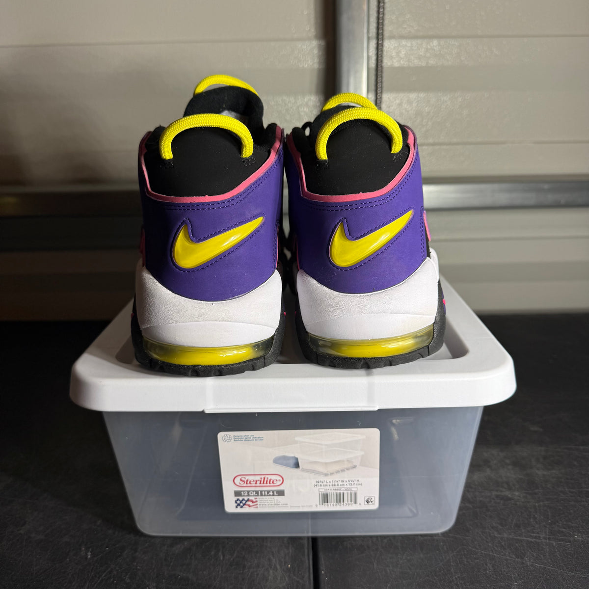 Size 12 - Air More Uptempo '96 Court Purple nb