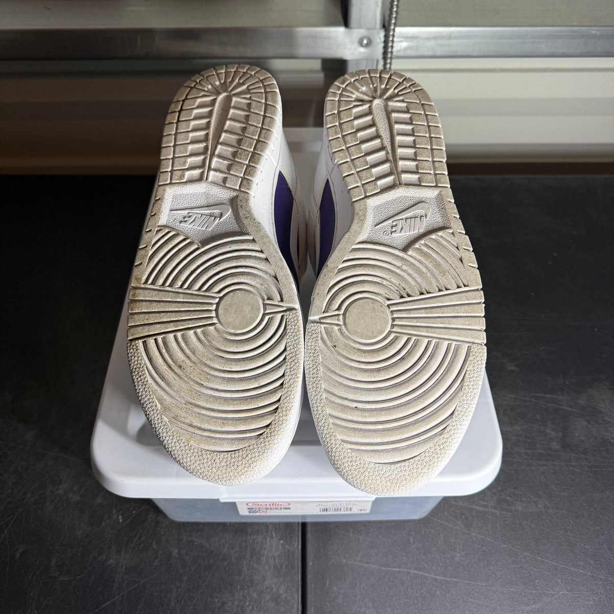 Size 12 - Dunk Purple By You