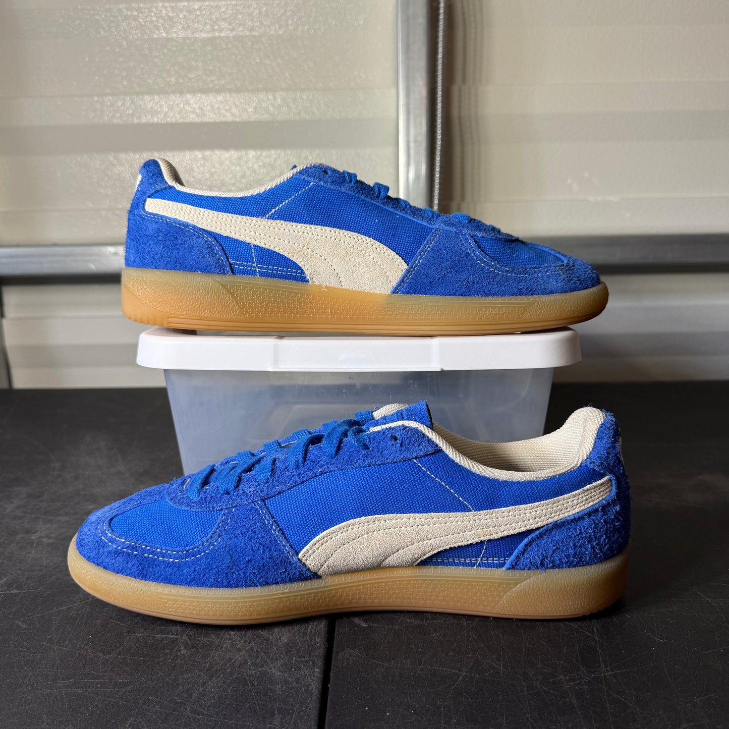 Size 11 - Puma Suede Blue