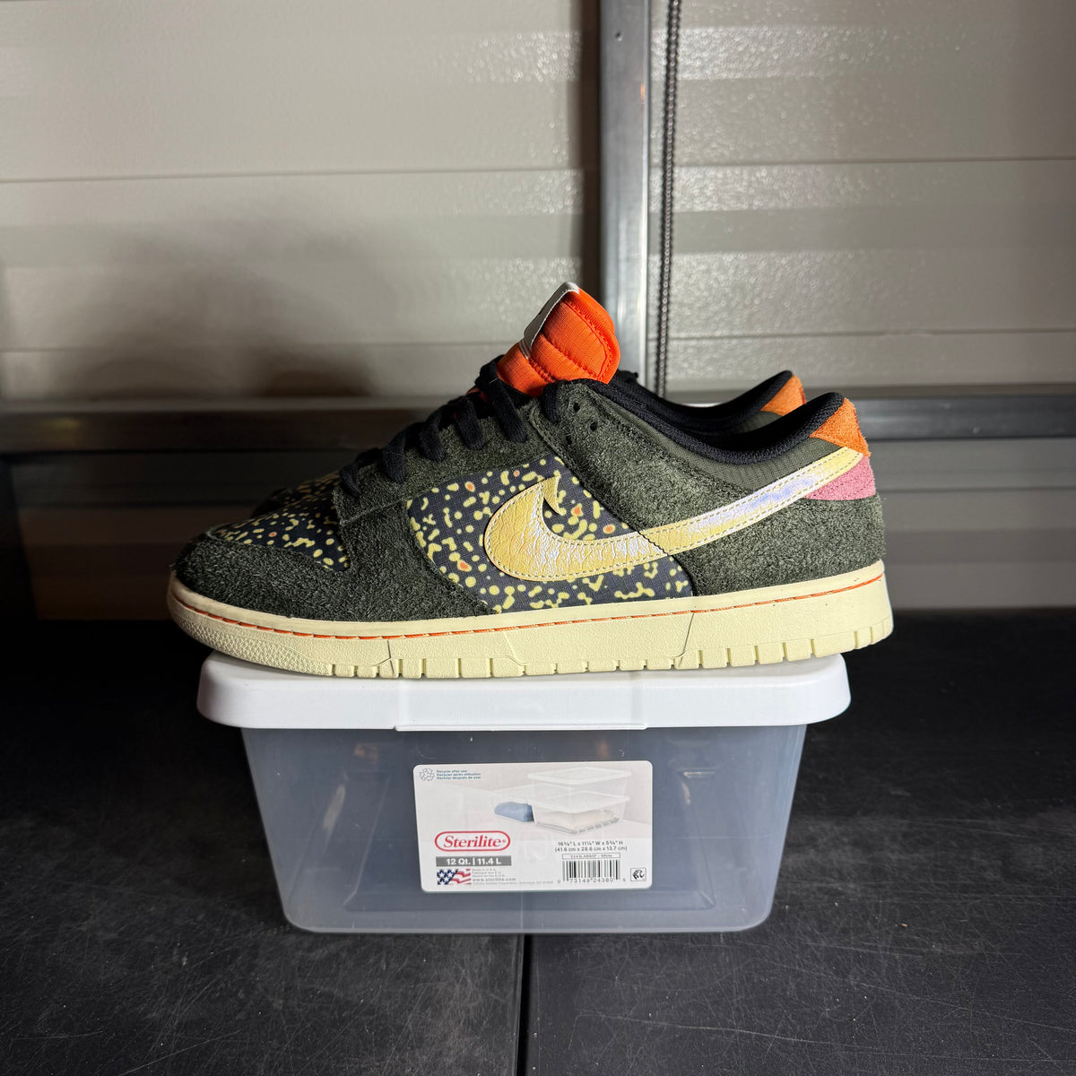 Size 12 - Nike Dunk SE Low Gone Fishing Rainbow Trout