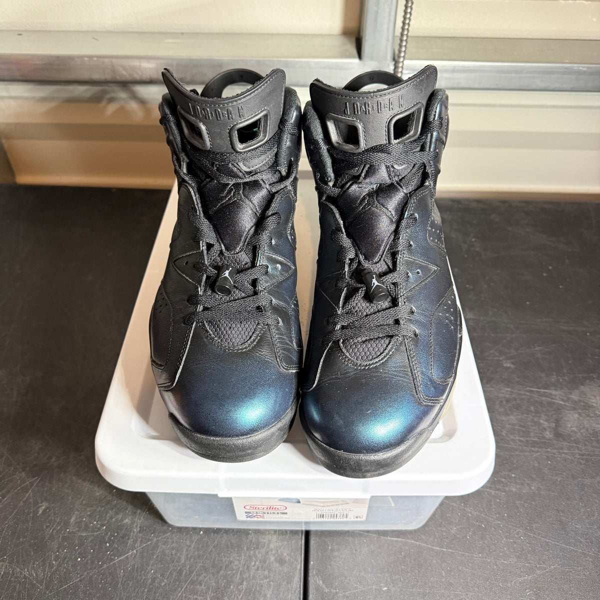 Size 12 - AJ 6 All Star Chameleon