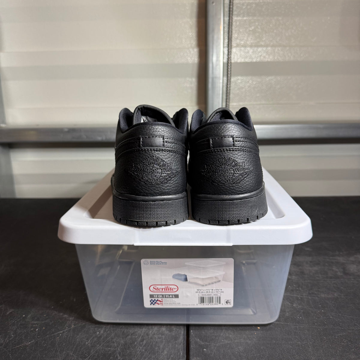 Size 12 - AJ 1 Low Back
