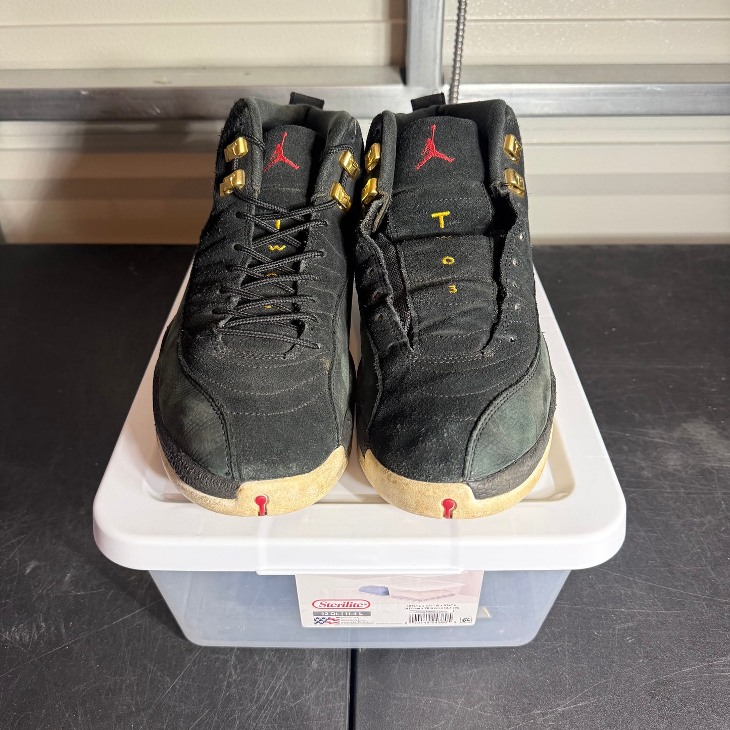 Size 11.5 - AJ 12 Retro Reverse Taxi