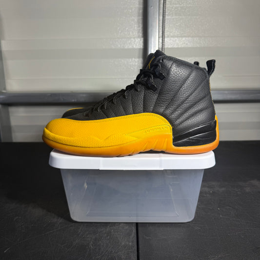 Size 10 - AJ 12 University Gold