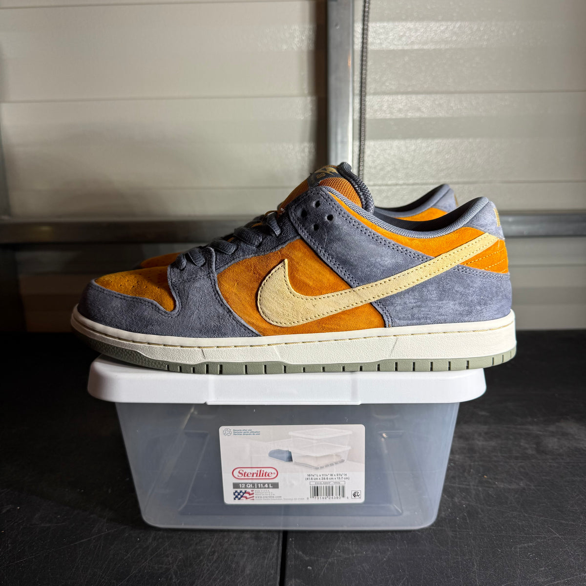 Size 13 - Dunk SB Low Light Carbon Monarch
