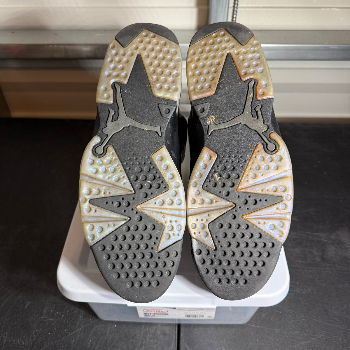 Size 12 - AJ 6 All Star Chameleon