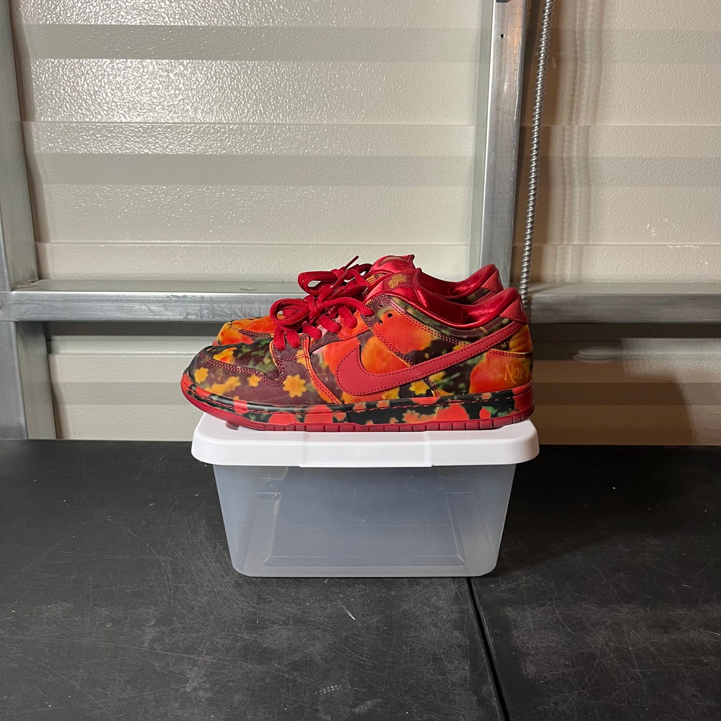 Size 10.5 - Dunk Wizard of Oz Poppy Field