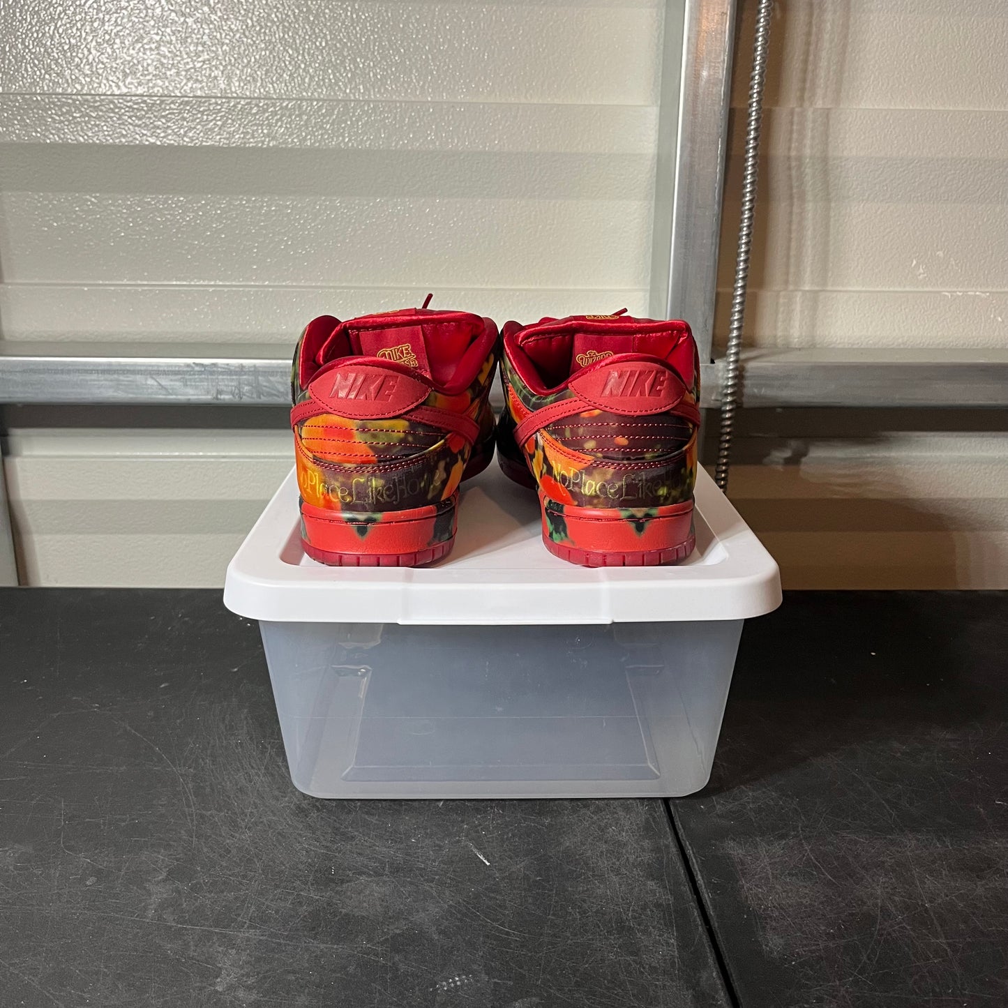 Size 10.5 - Dunk Wizard of Oz Poppy Field