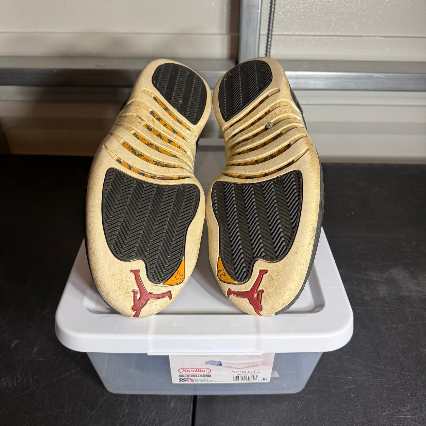 Size 11.5 - AJ 12 Retro Reverse Taxi