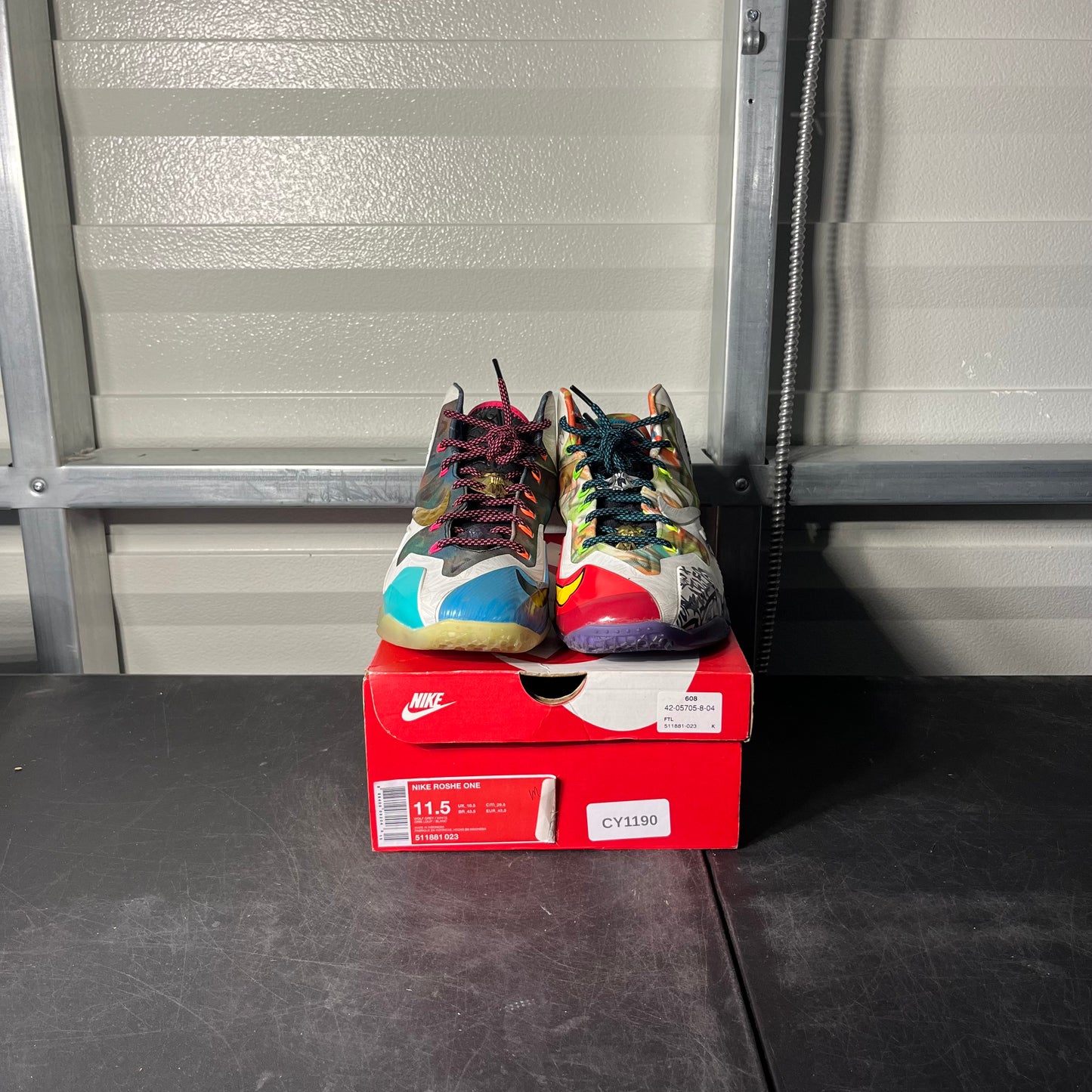 Size 10 - Nike LeBron What The